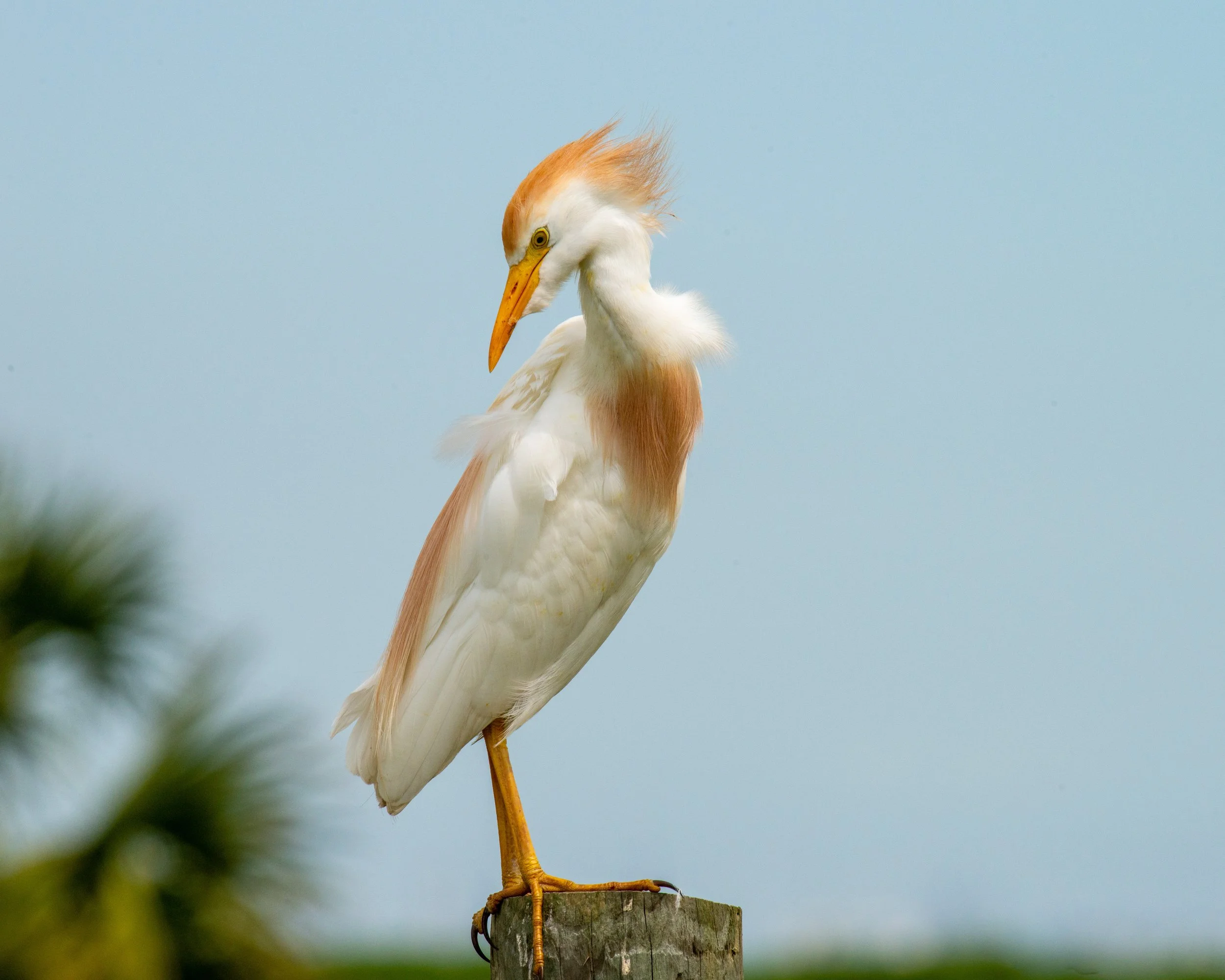 Galveston Island-293.jpg