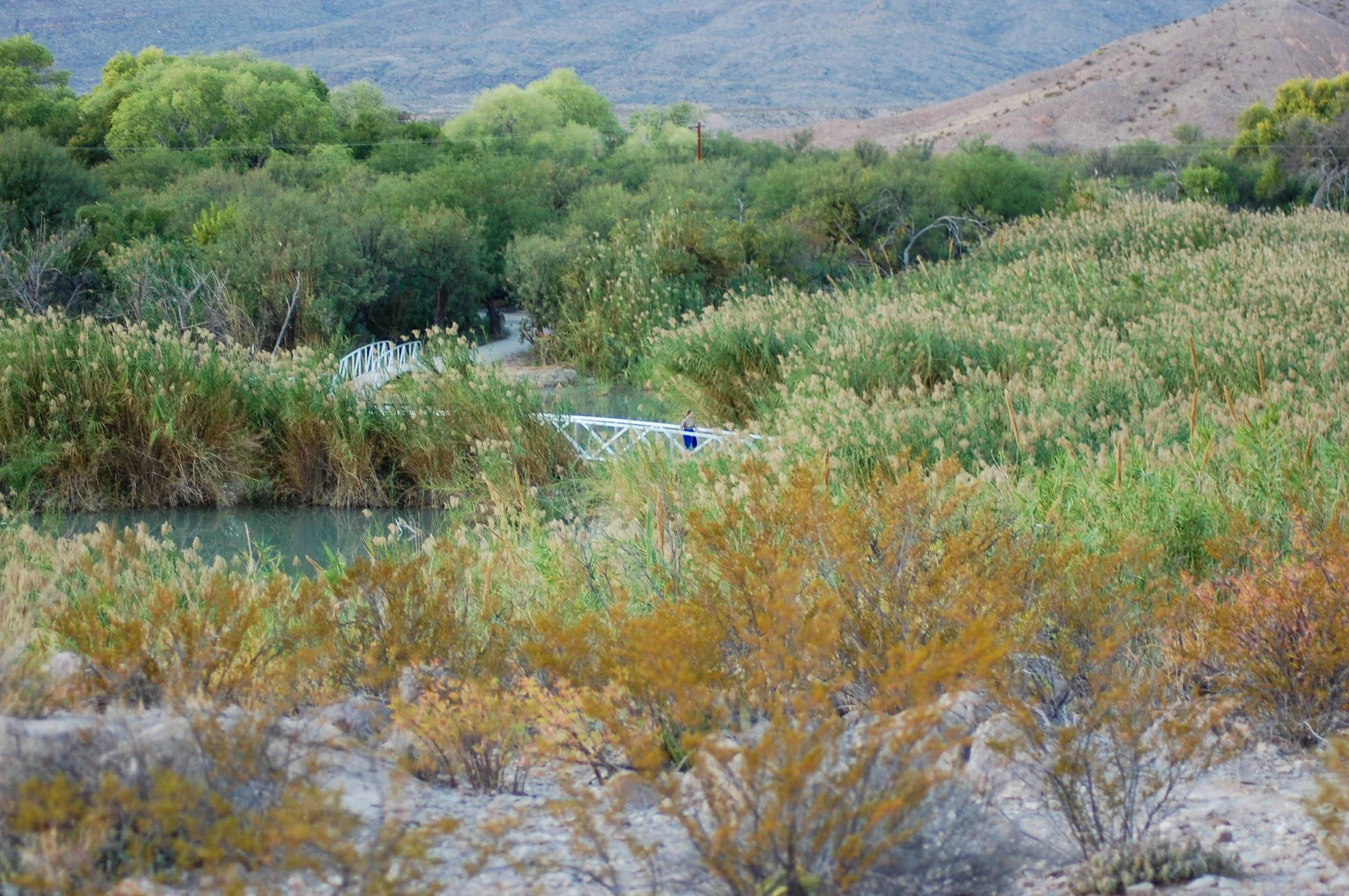 Big Bend-008.jpg