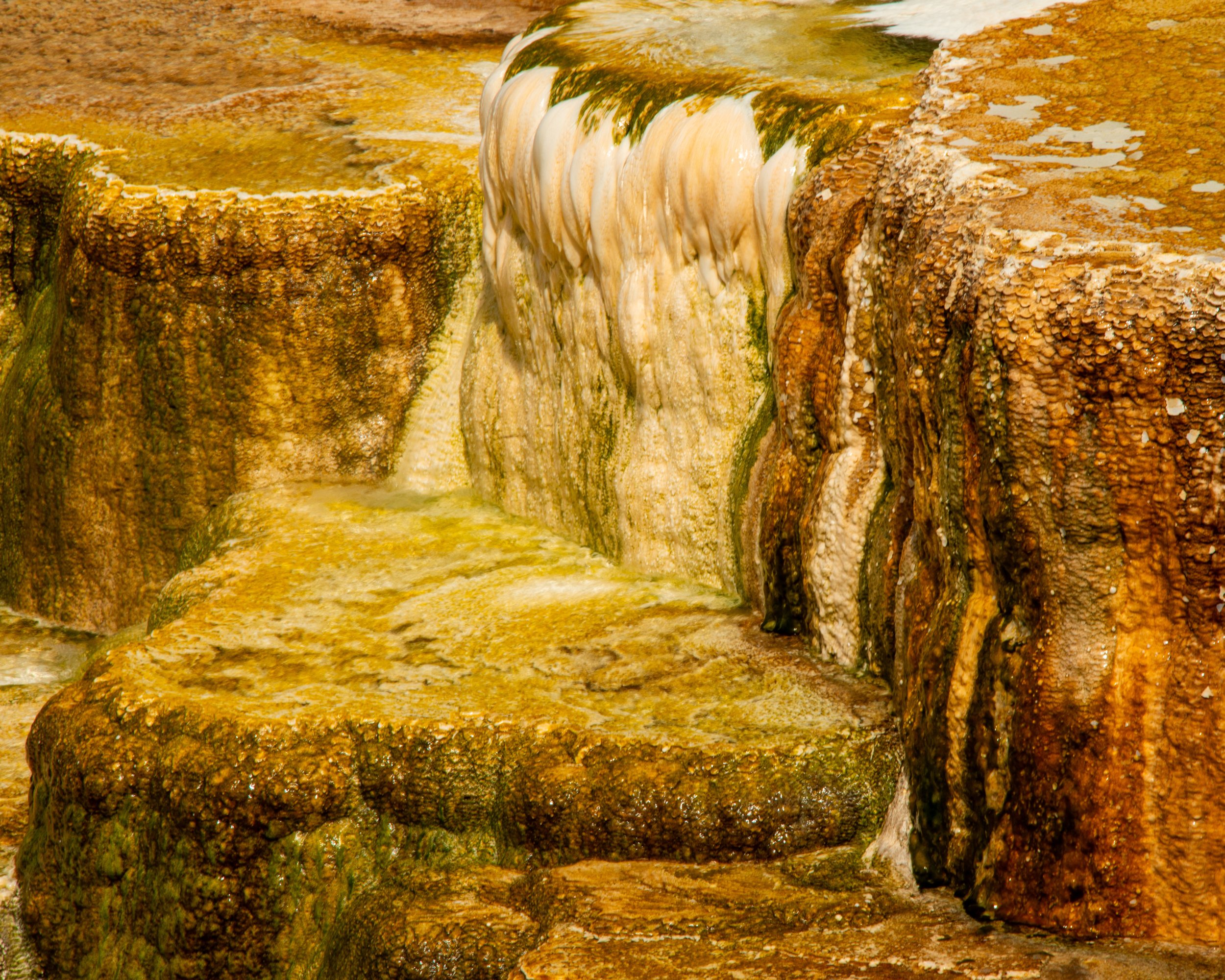 Yellowstone NP-549.jpg