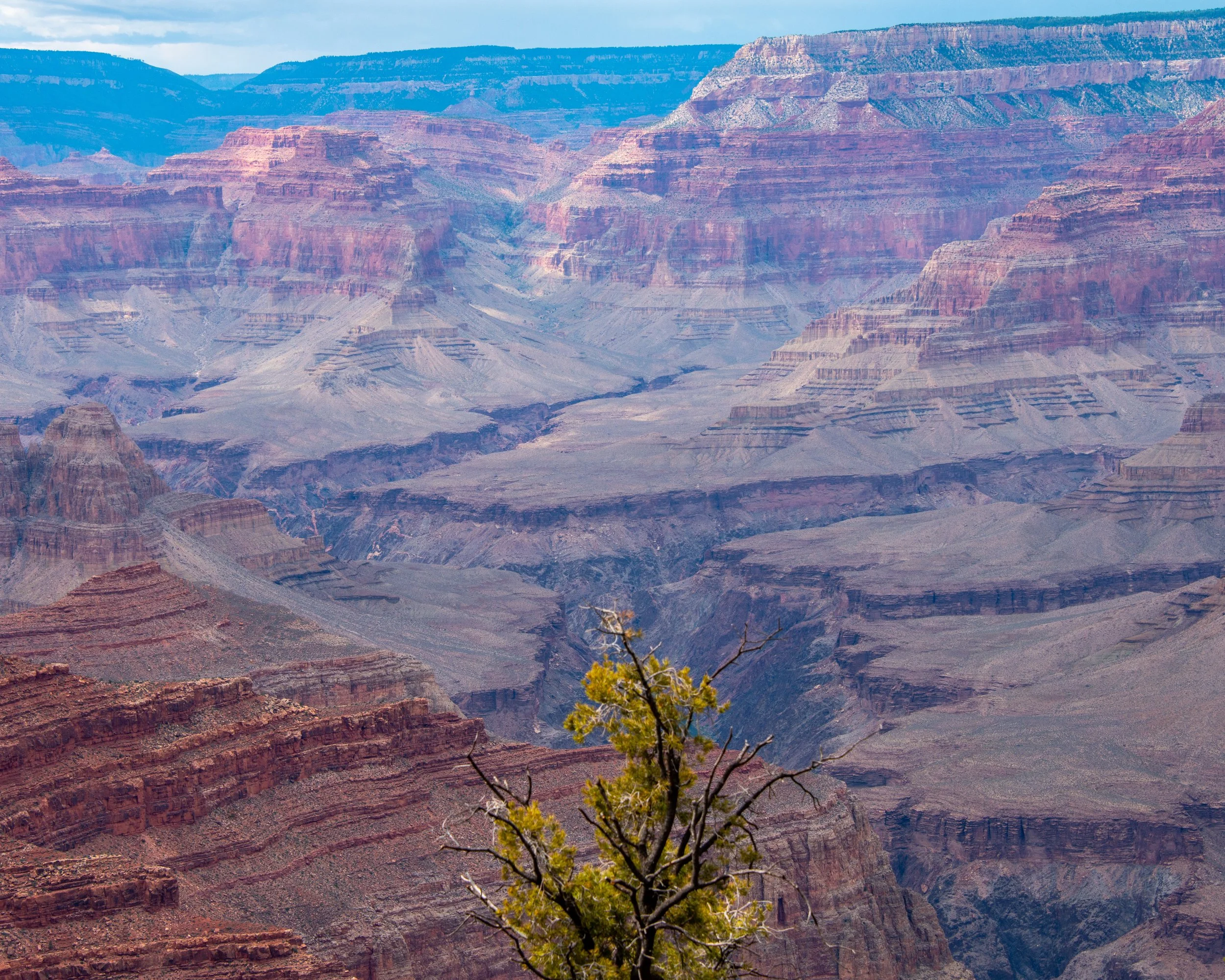 Hermits Rest-588 - Copy.jpg