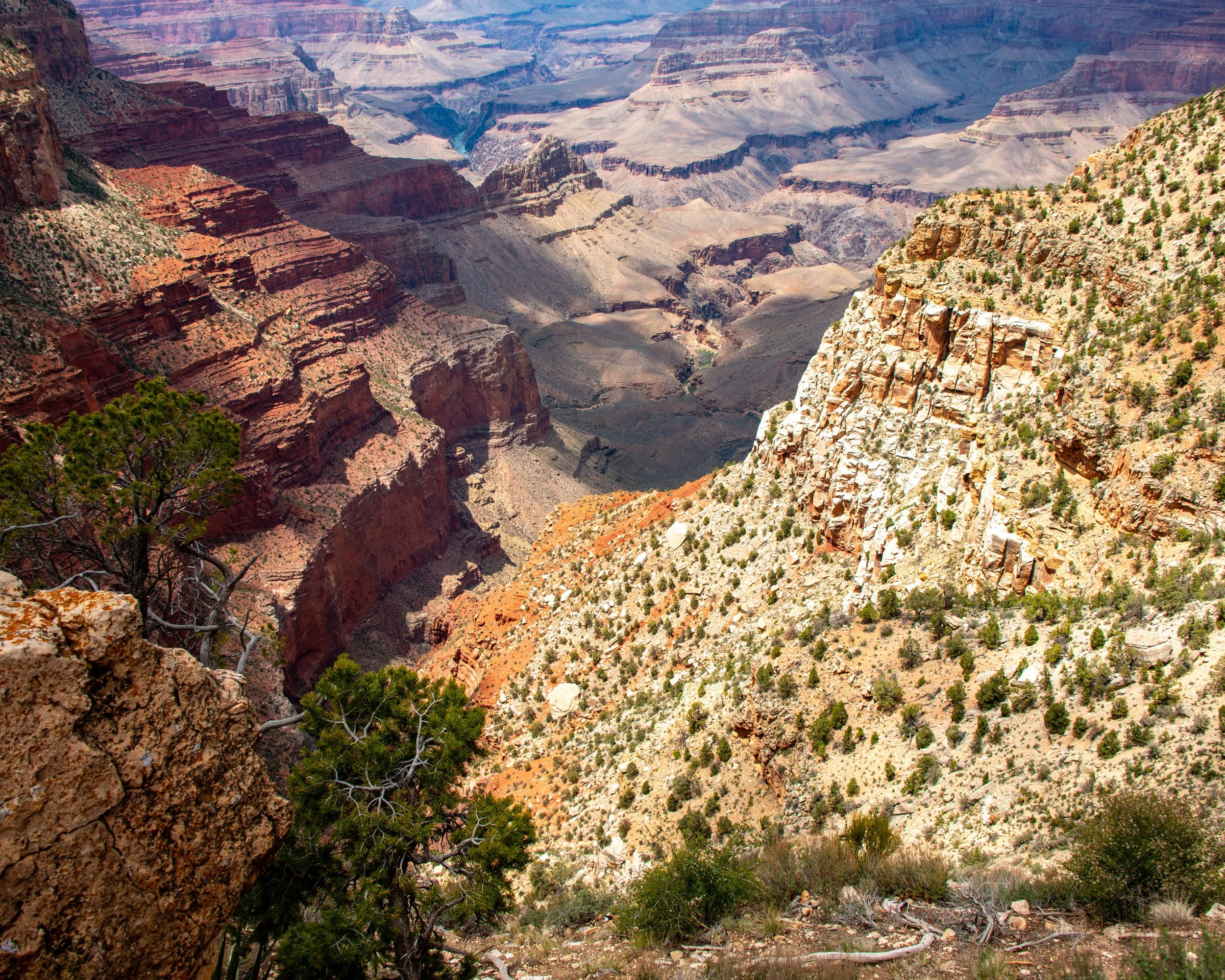 Monument Creek Vista-519 - Copy.jpg