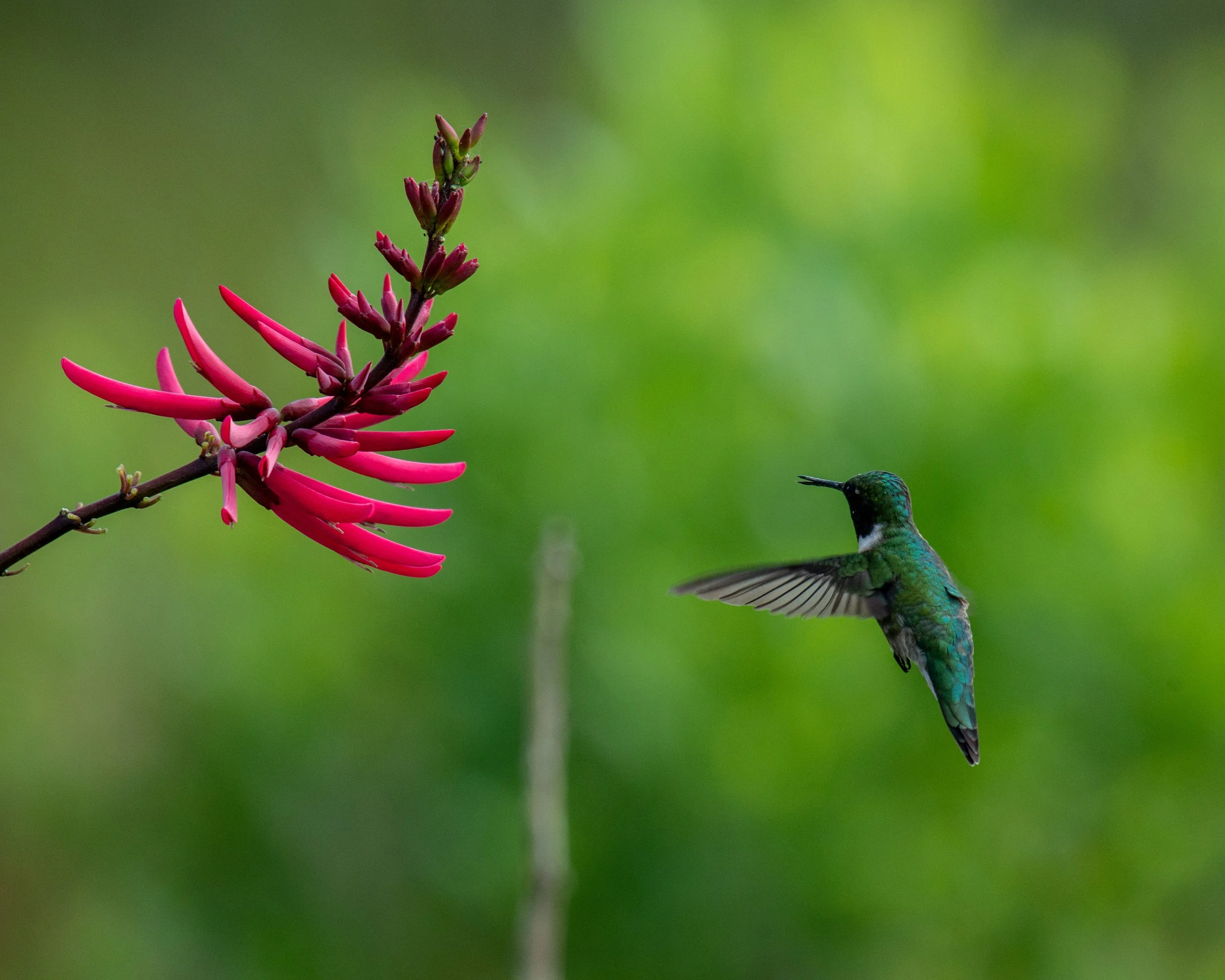 Galveston Island-231.jpg