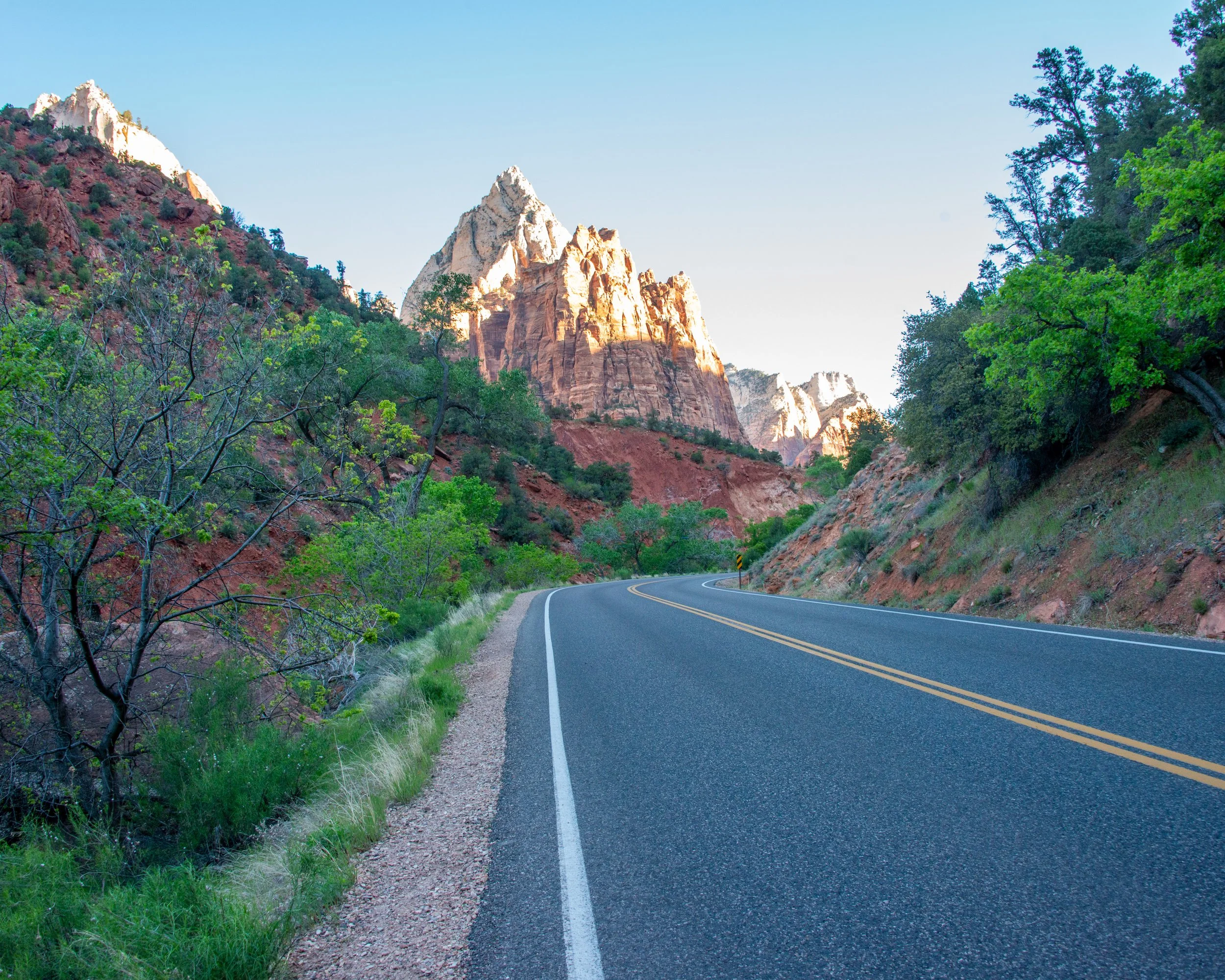 Zion-69.jpg