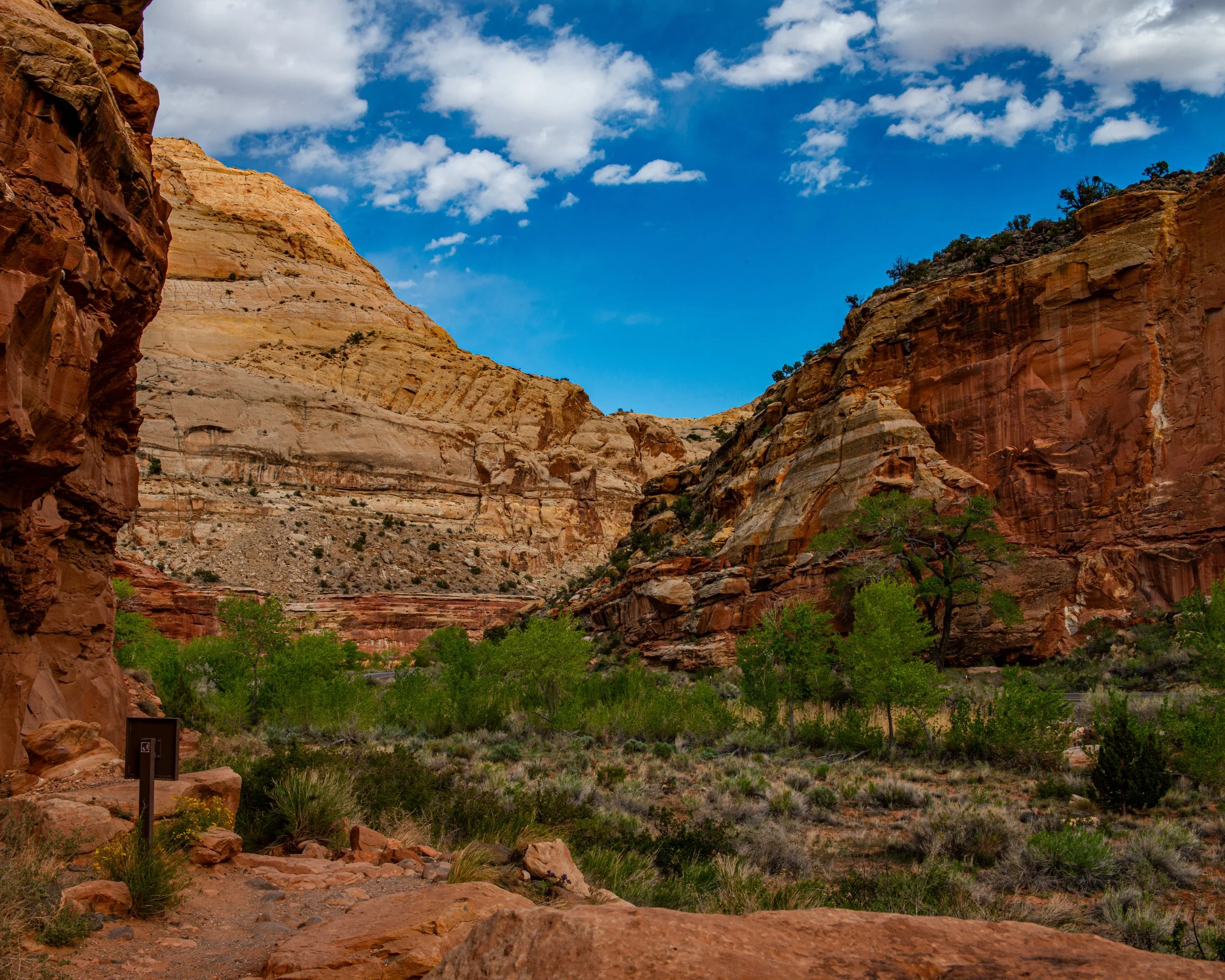 Capitol Reef-6.jpg