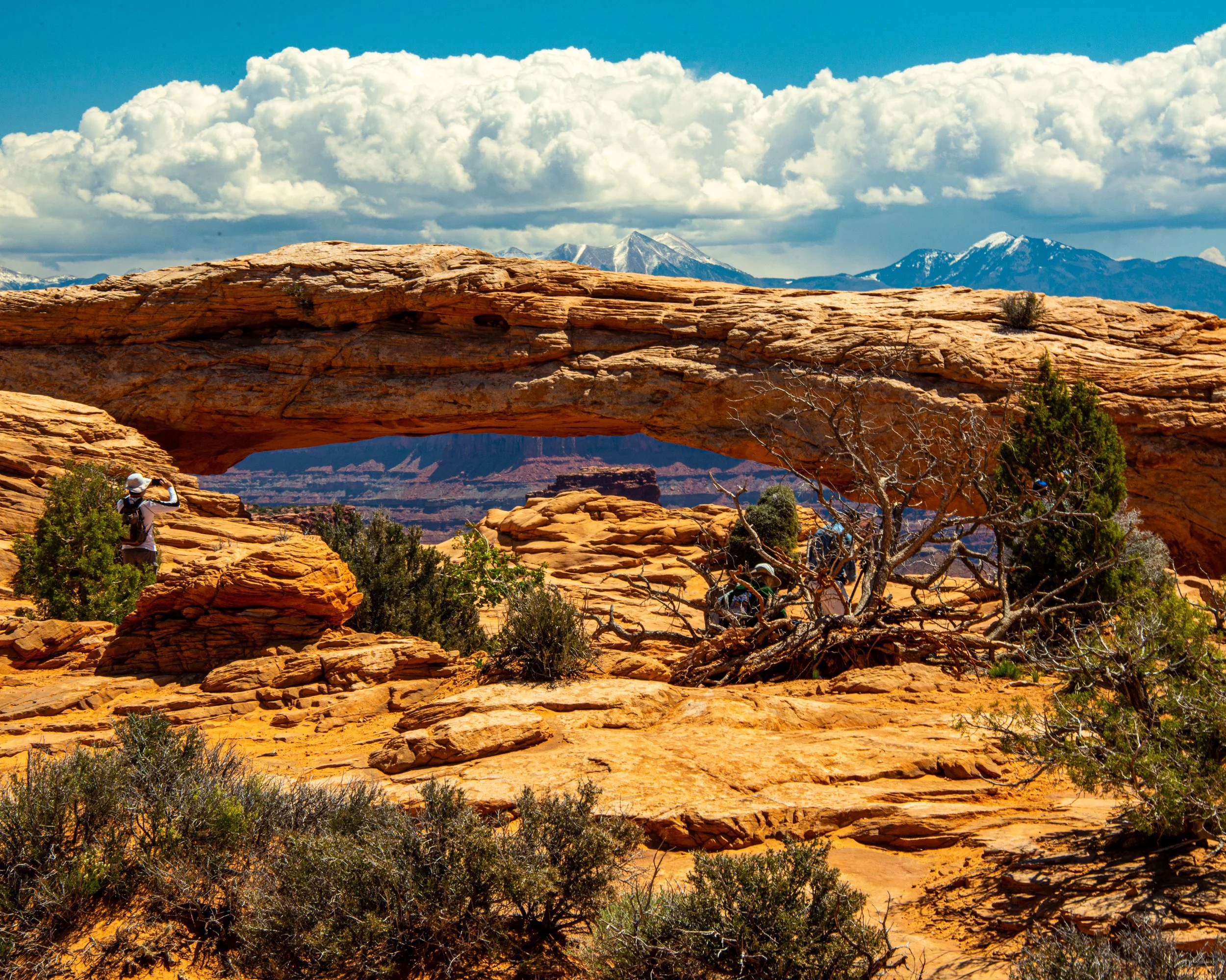 Canyonlands-41.jpg