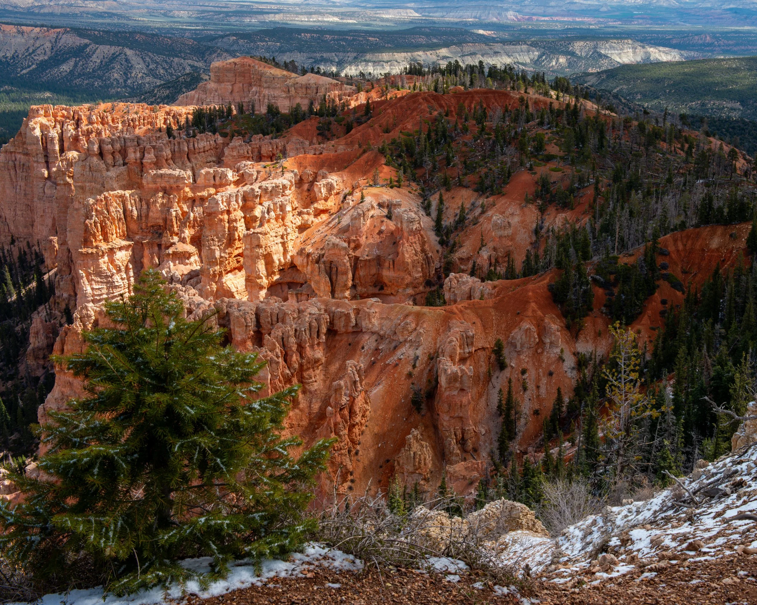 Bryce-74.jpg