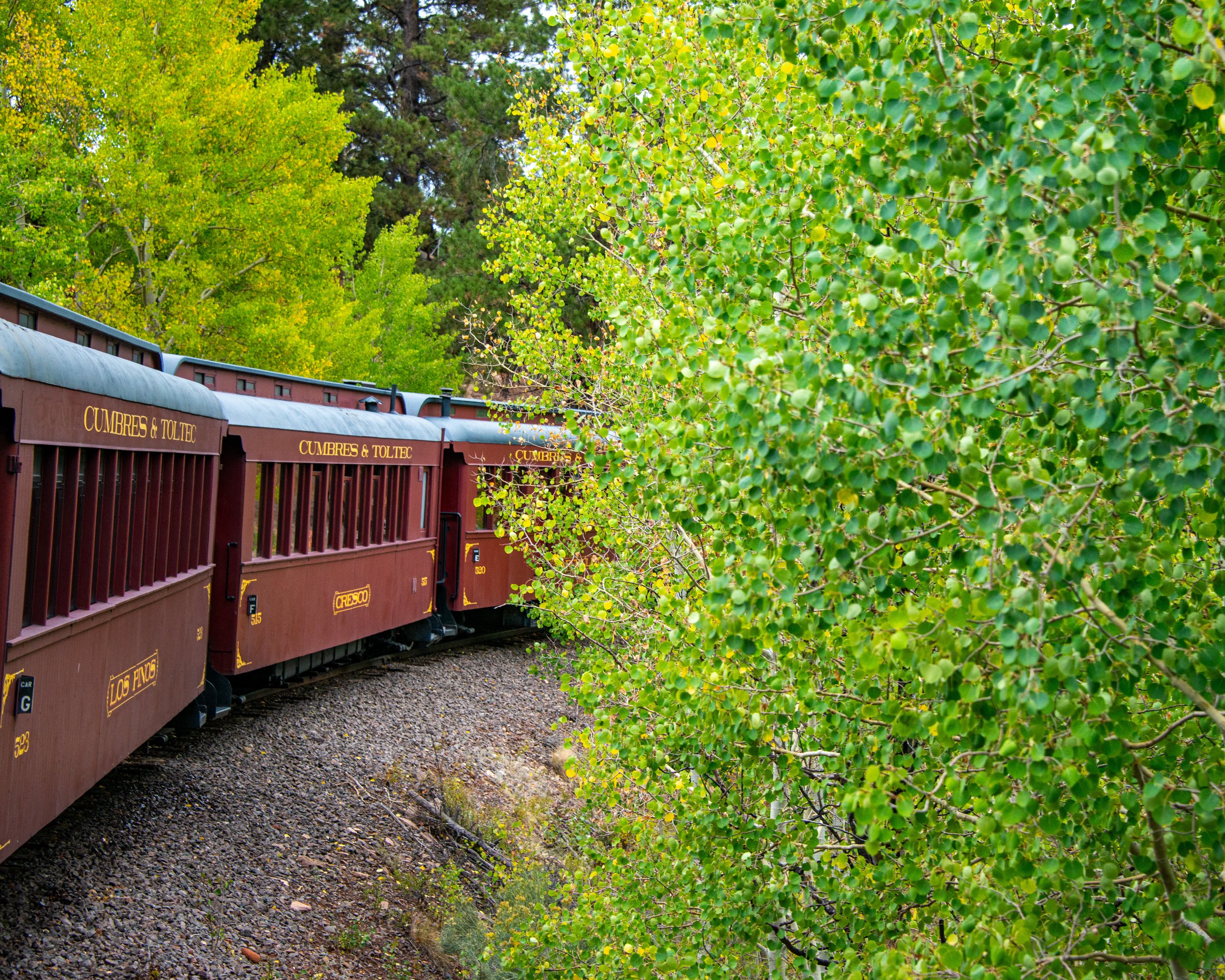 Cumbres & Toltec RR-124.jpg