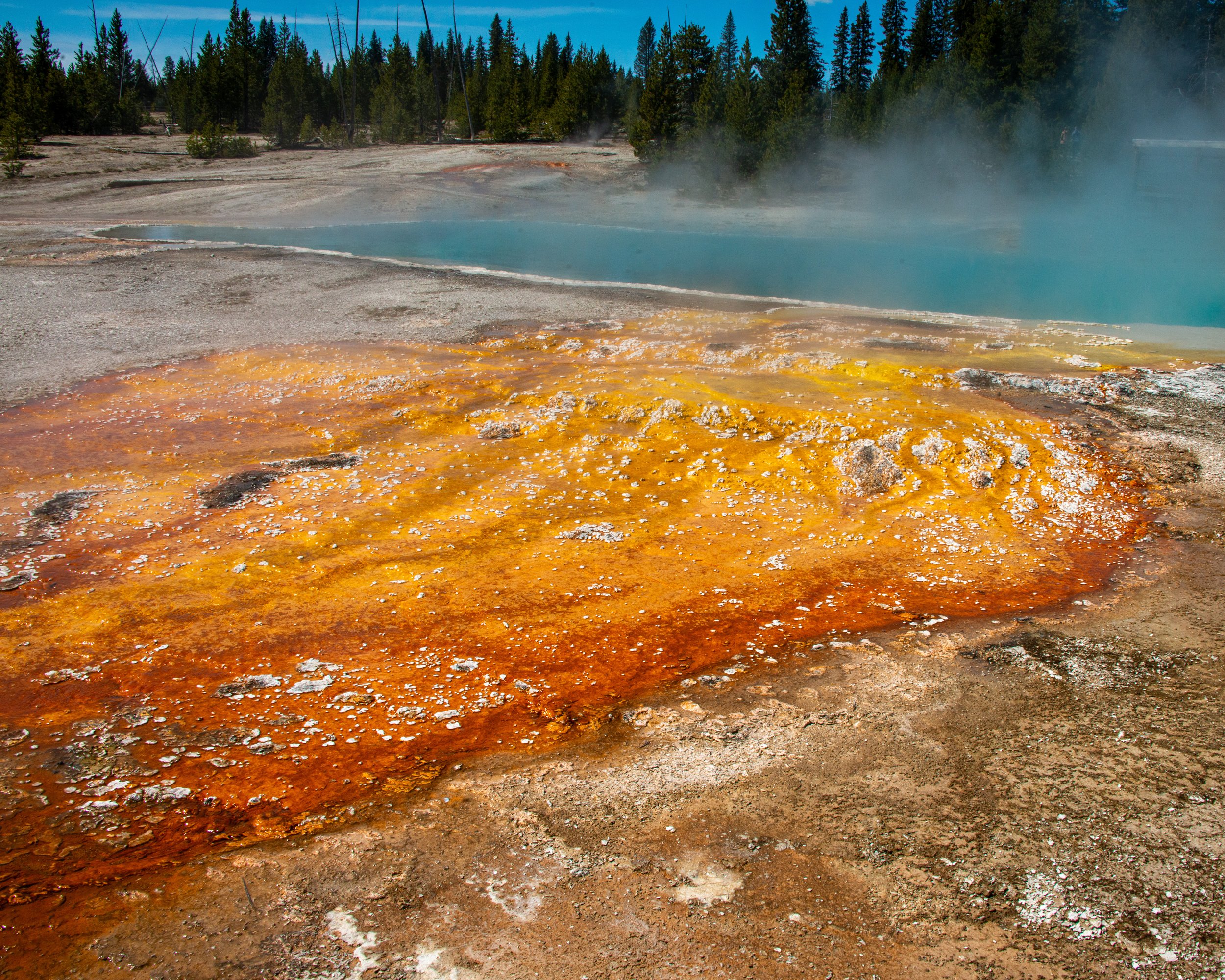 Yellowstone NP-164.jpg