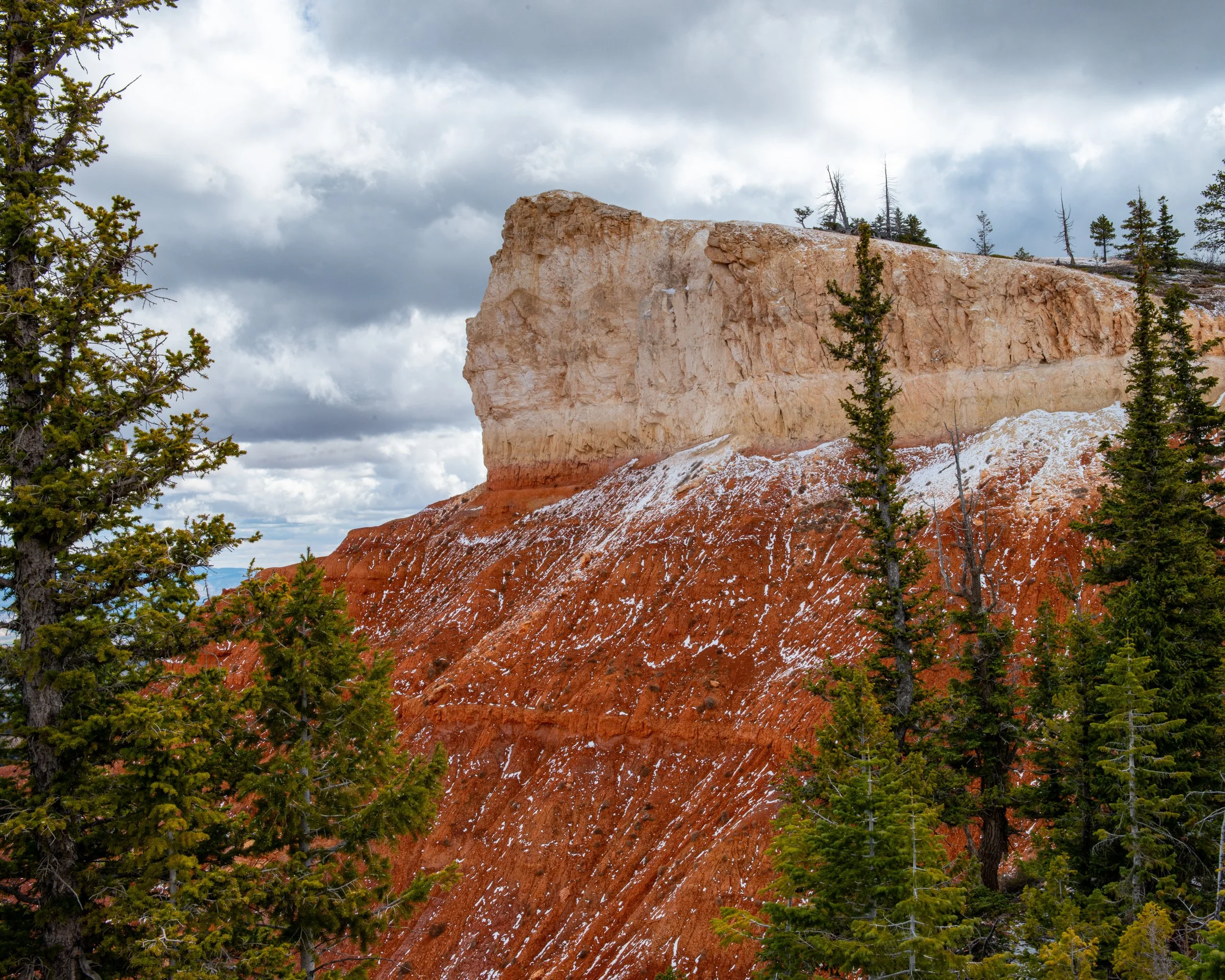 Bryce-130.jpg