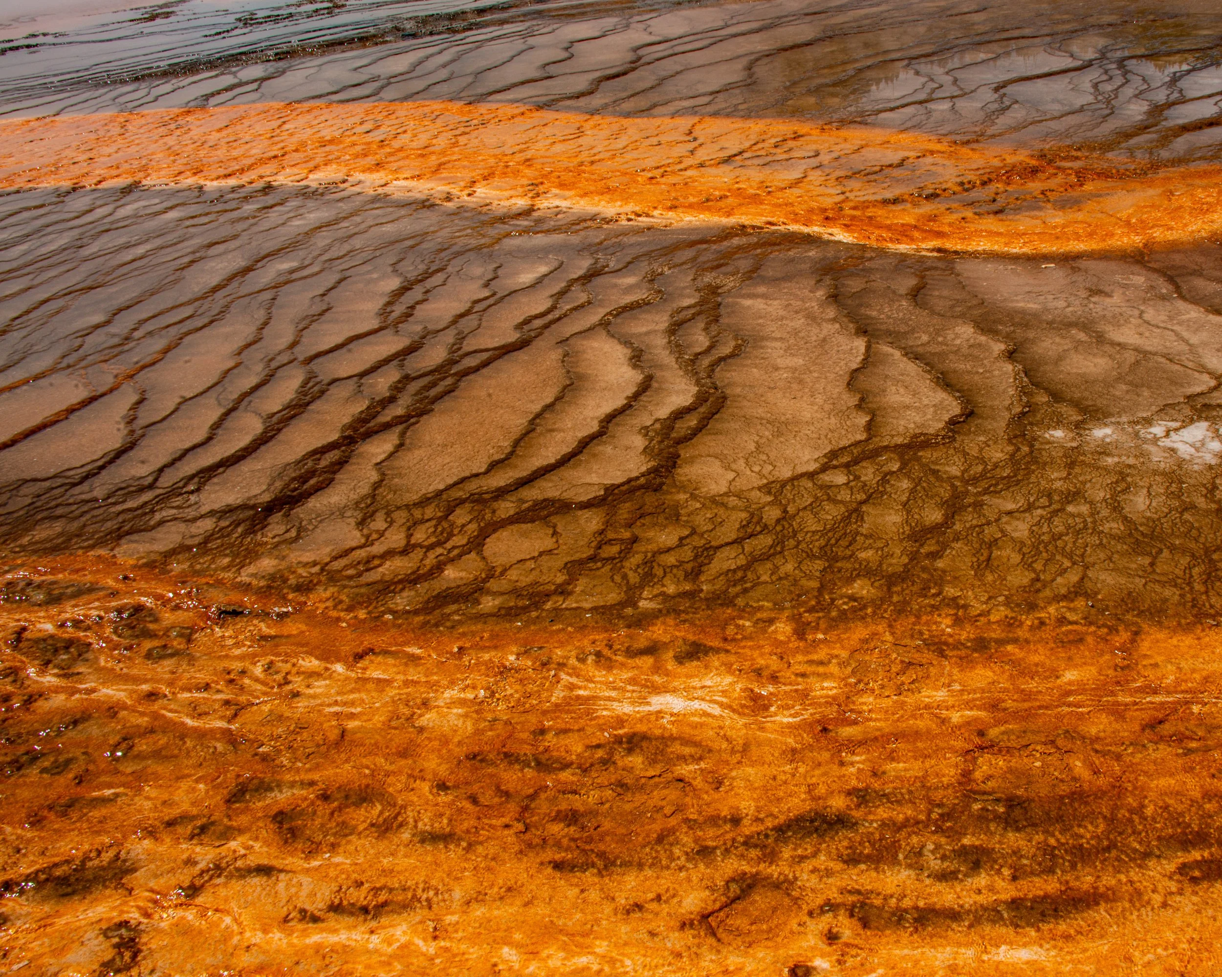 Yellowstone NP-1096.jpg