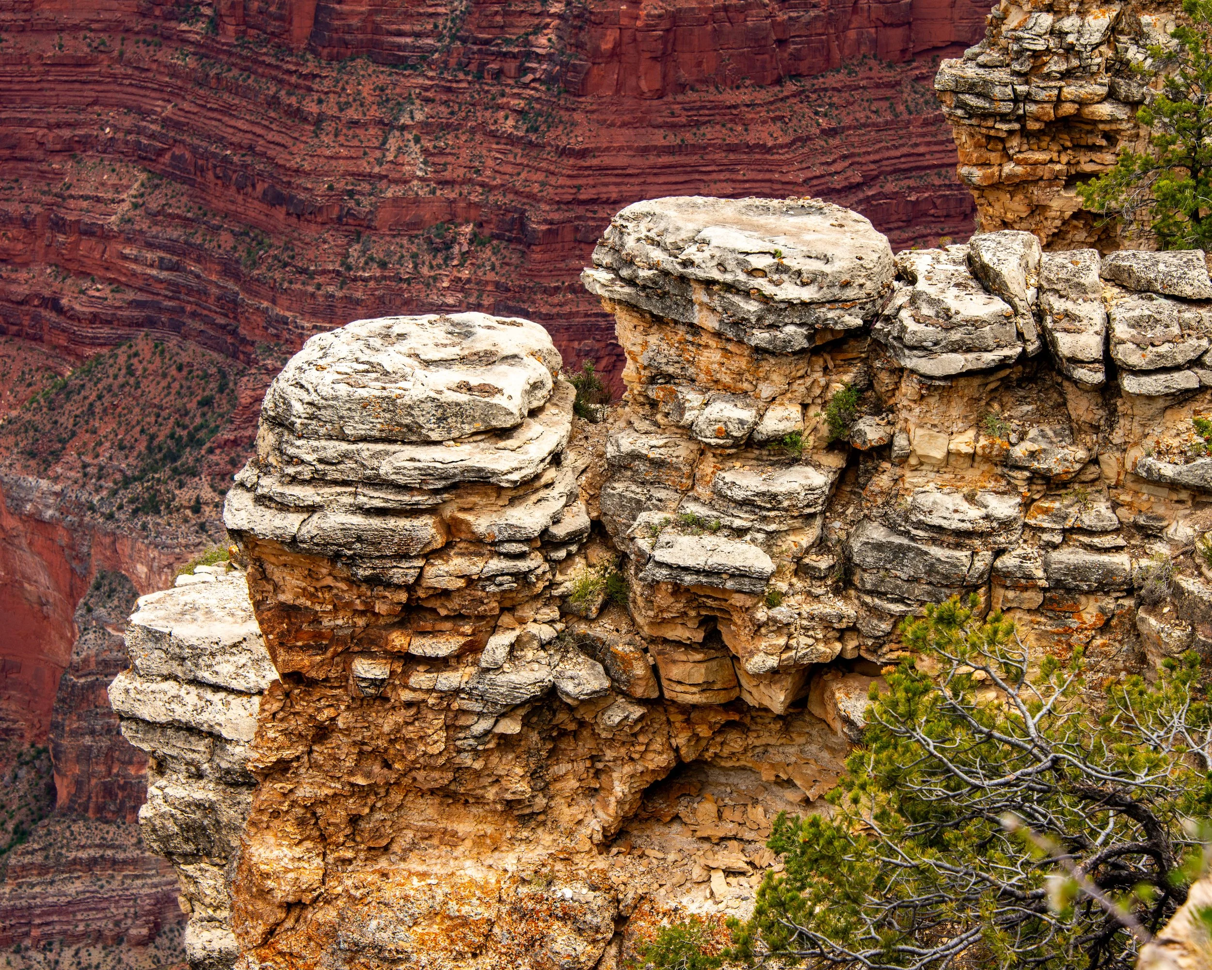 Pima Point-549 - Copy.jpg