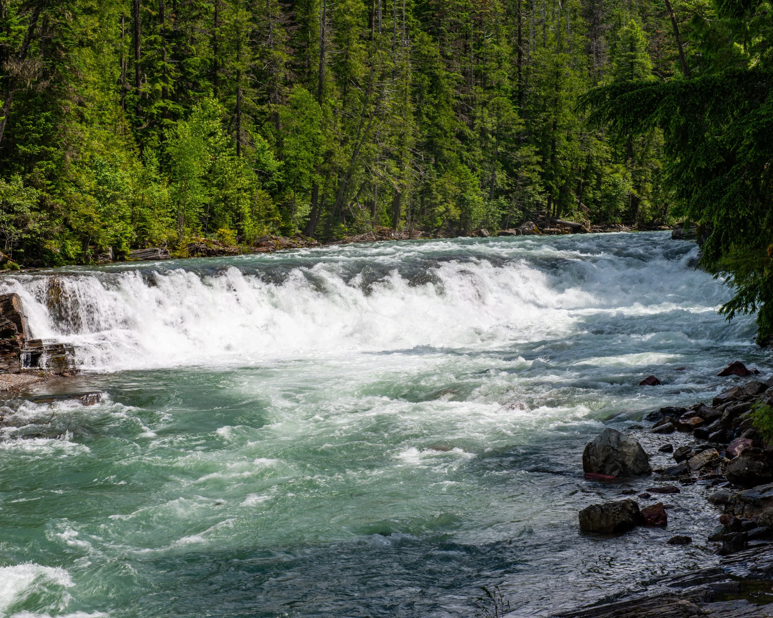 Glacier NP-503.jpg