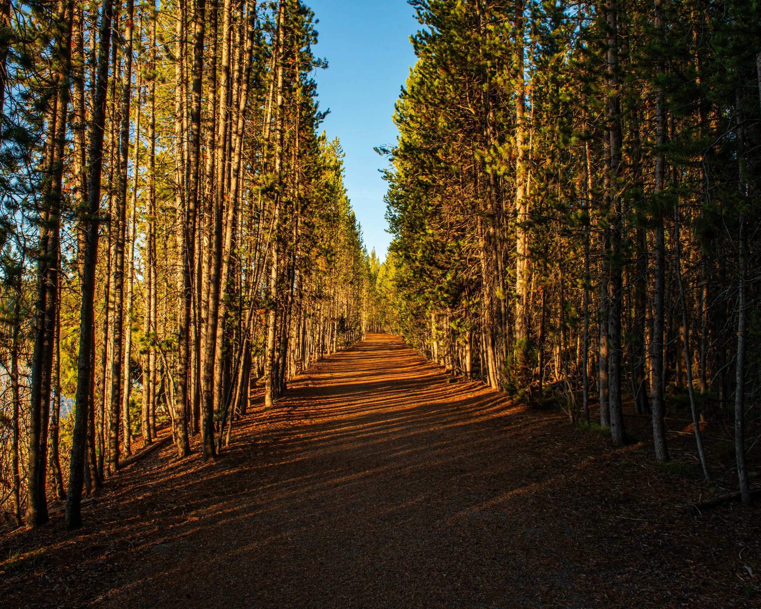Grand Teton NP-162.jpg