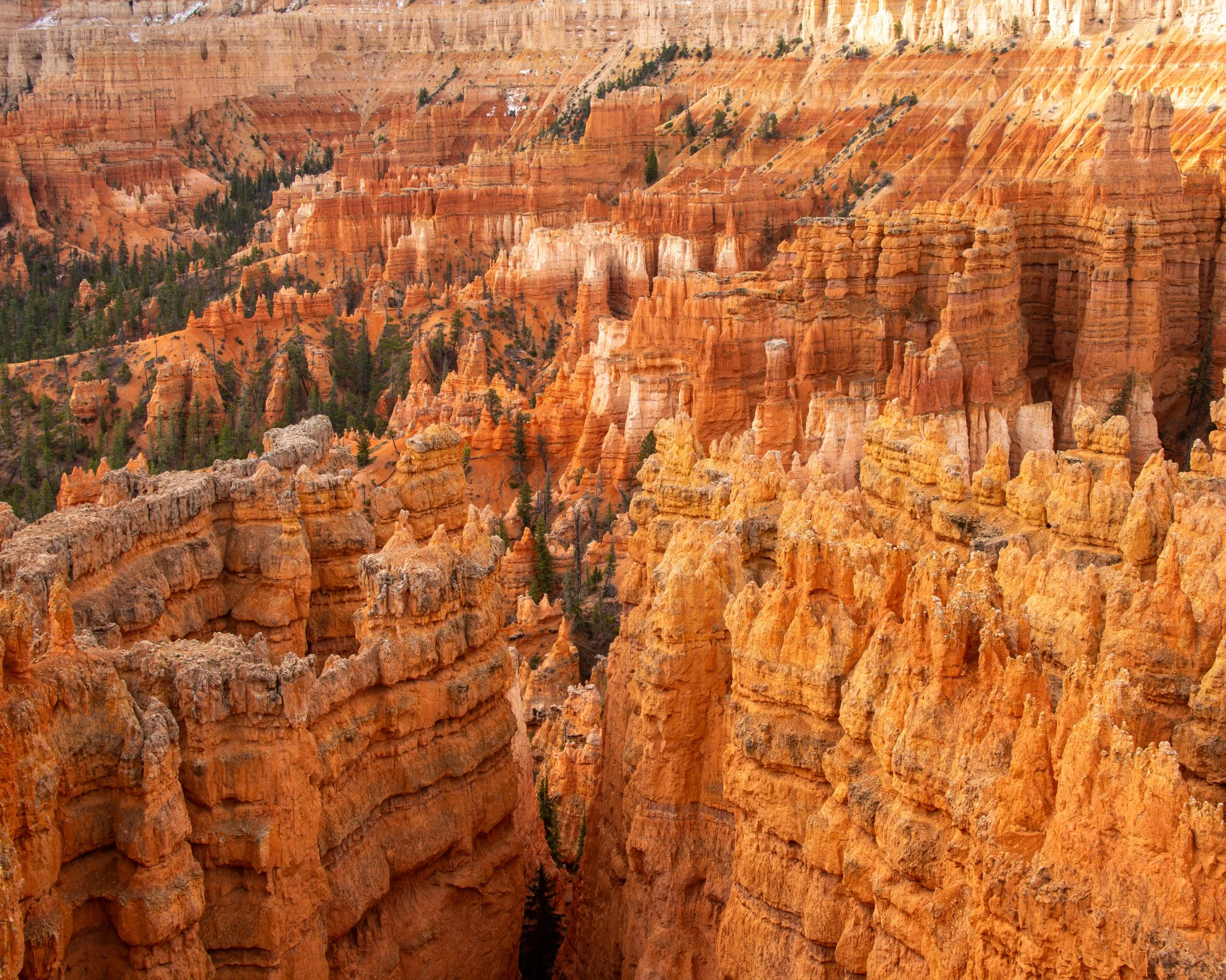 Bryce-43.jpg