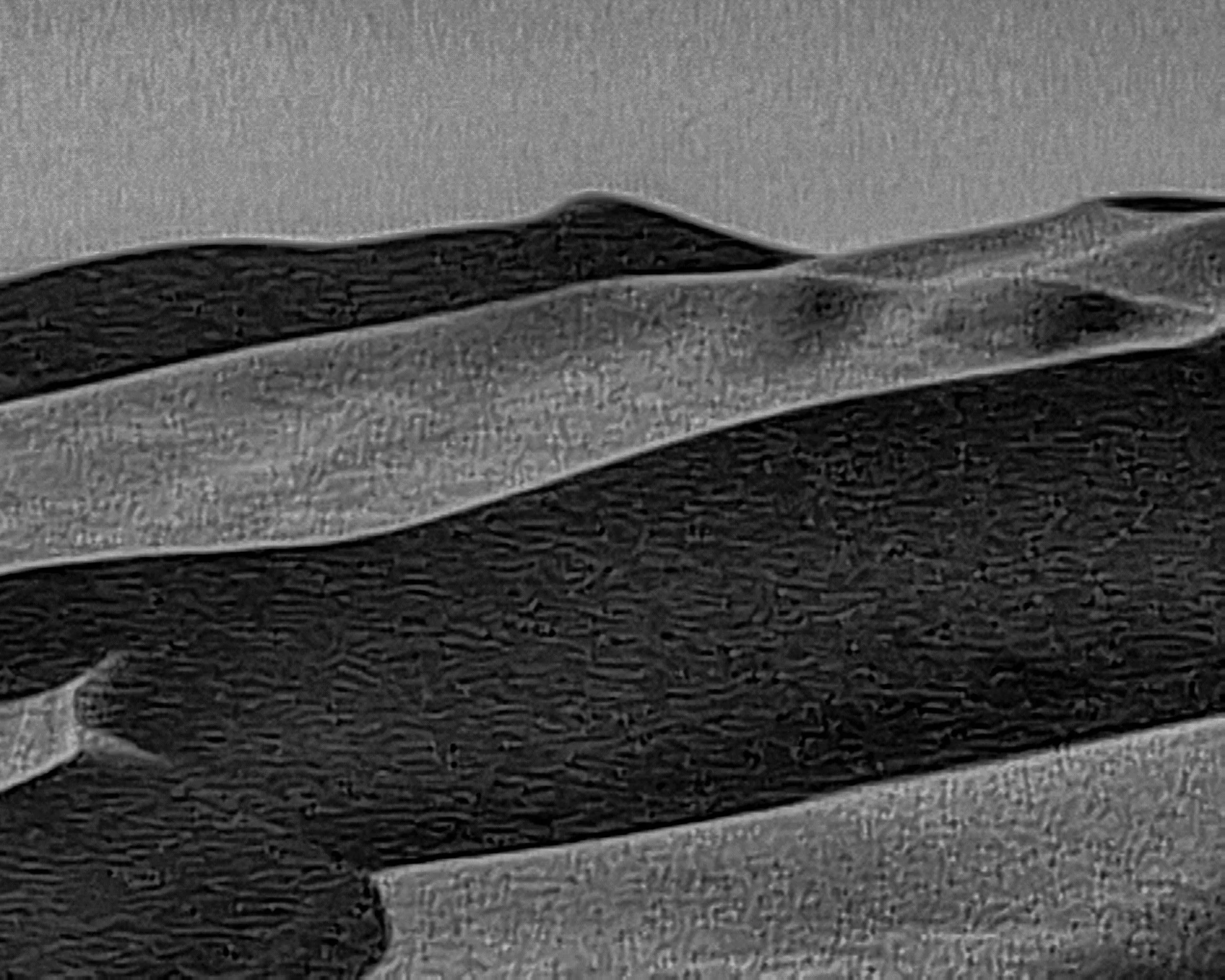 Great Sand Dunes NP-16.jpg