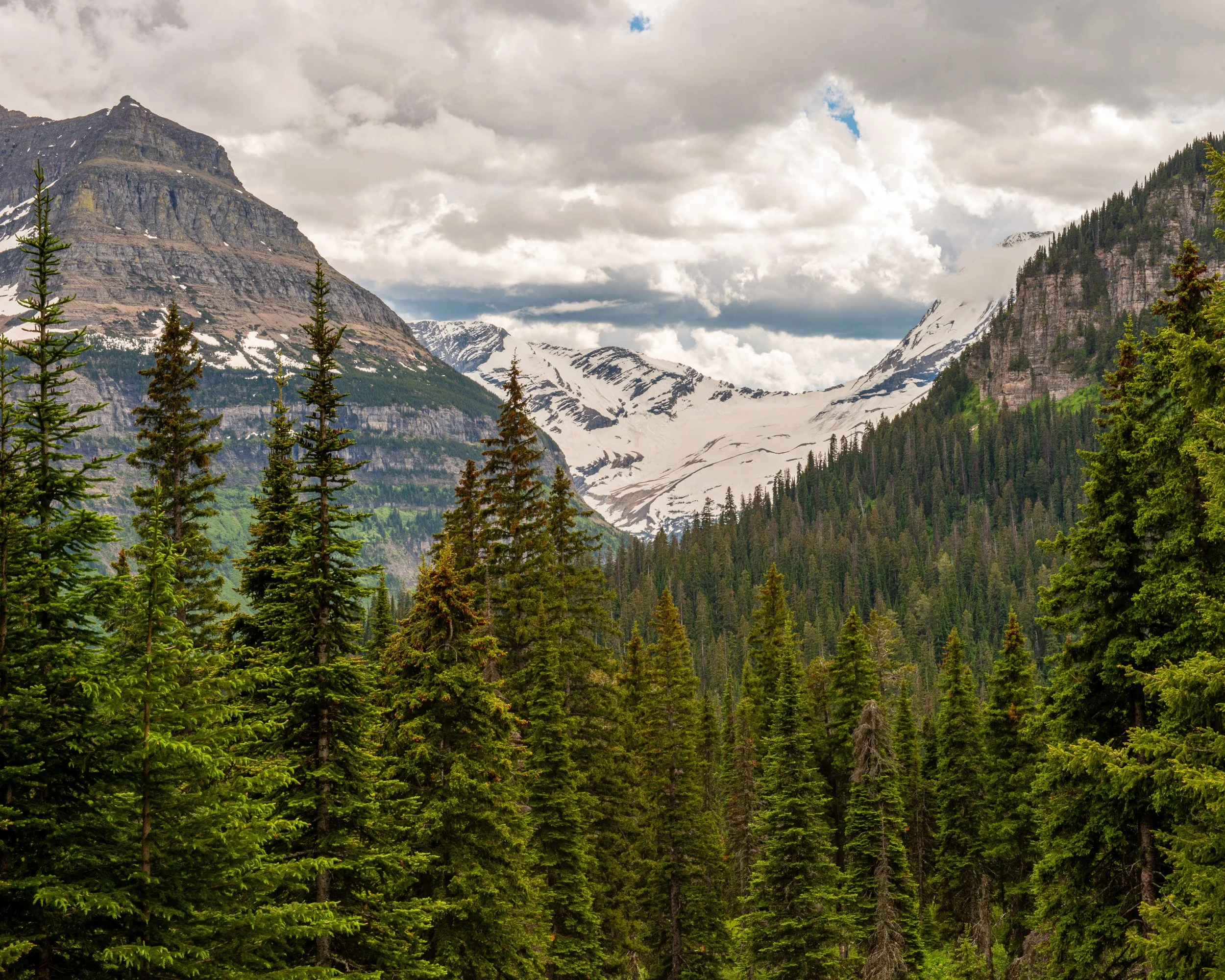 Glacier NP-318.jpg