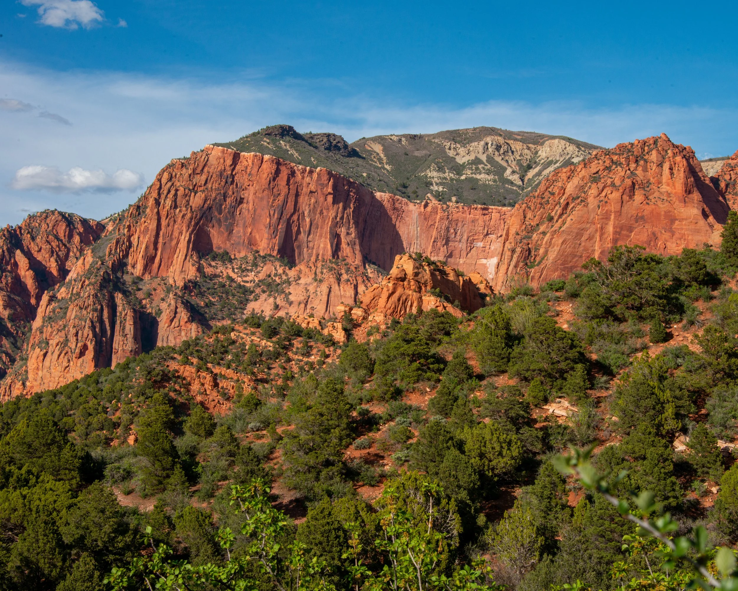 Zion-228.jpg