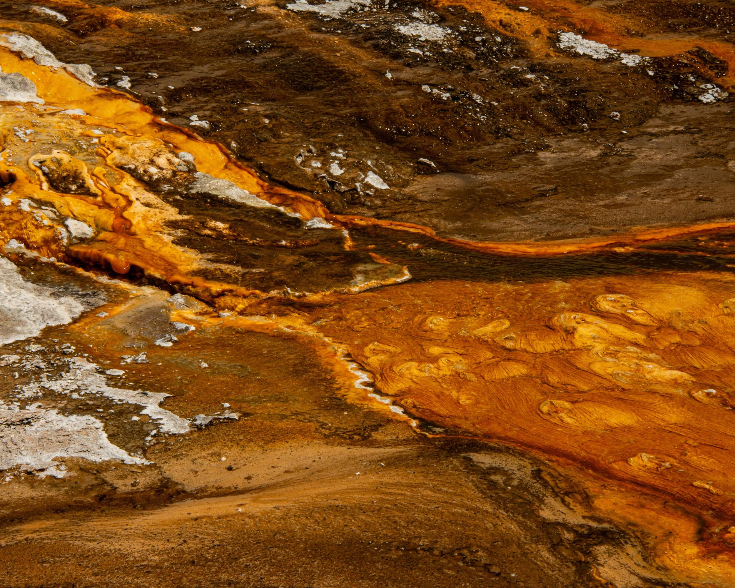 Yellowstone NP-670.jpg