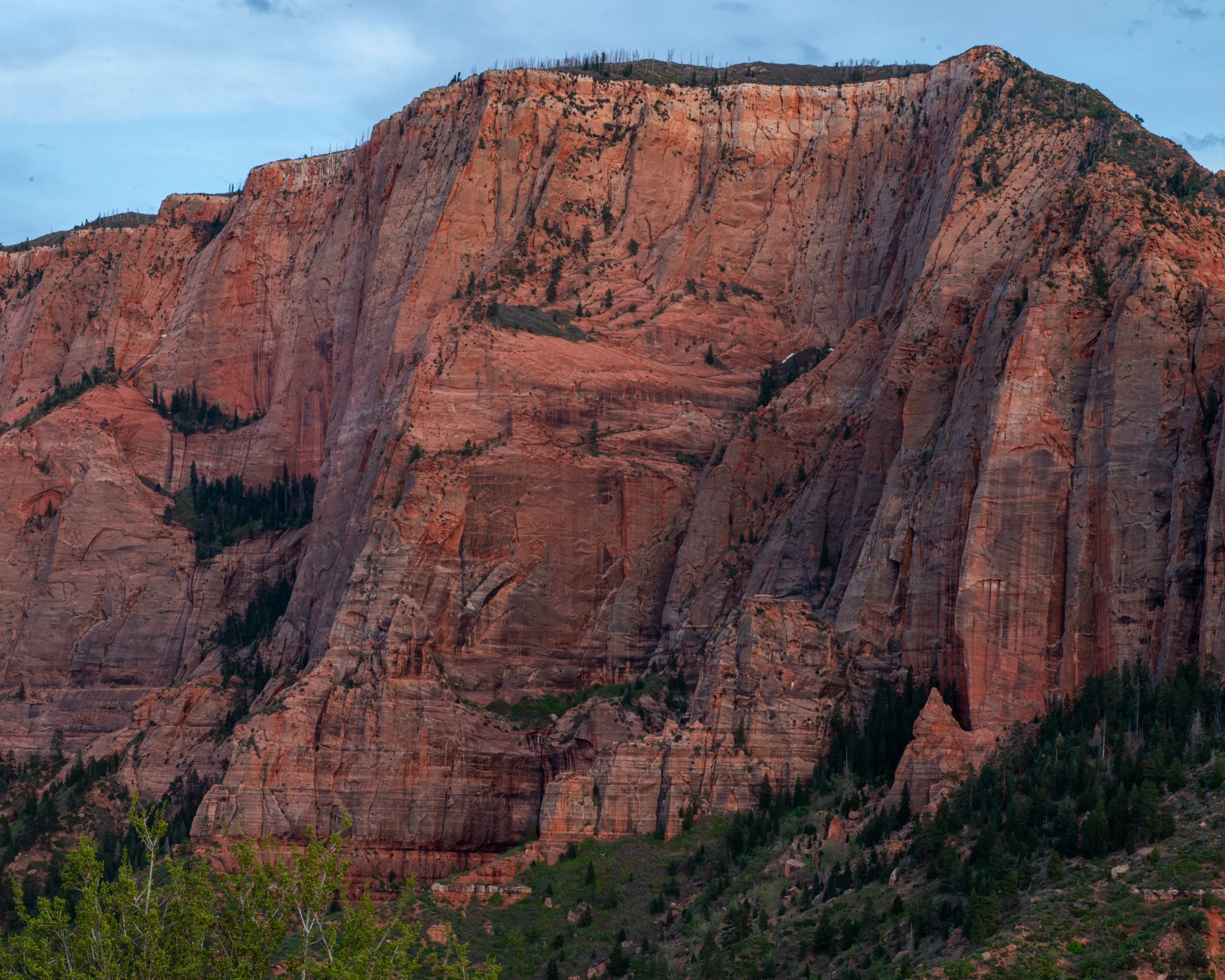 Zion-362.jpg