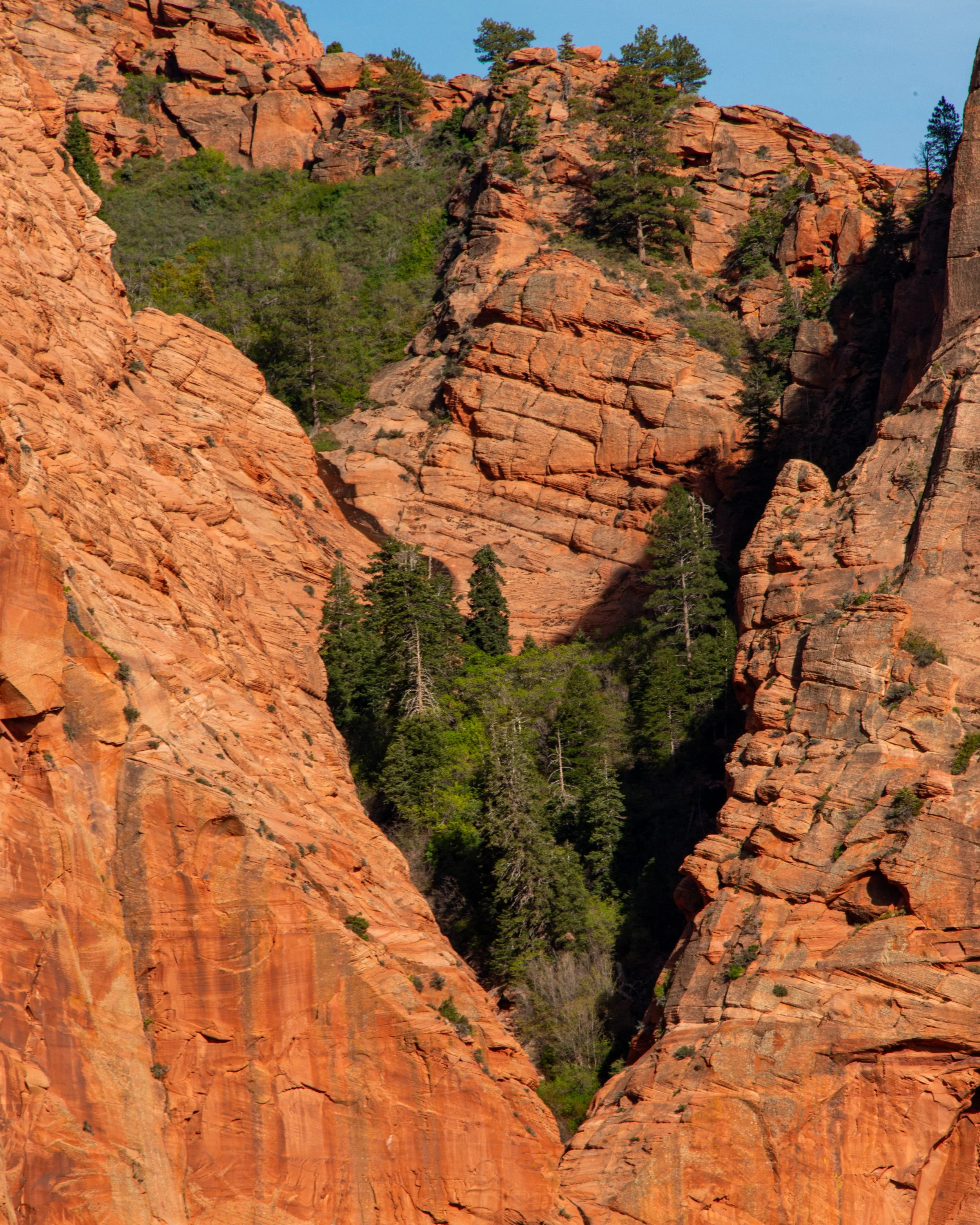 Zion-241.jpg