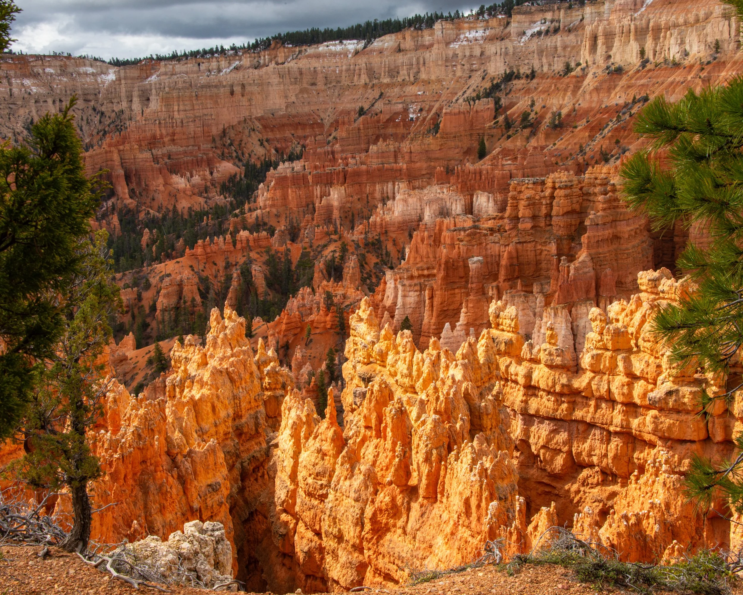 Bryce-49.jpg