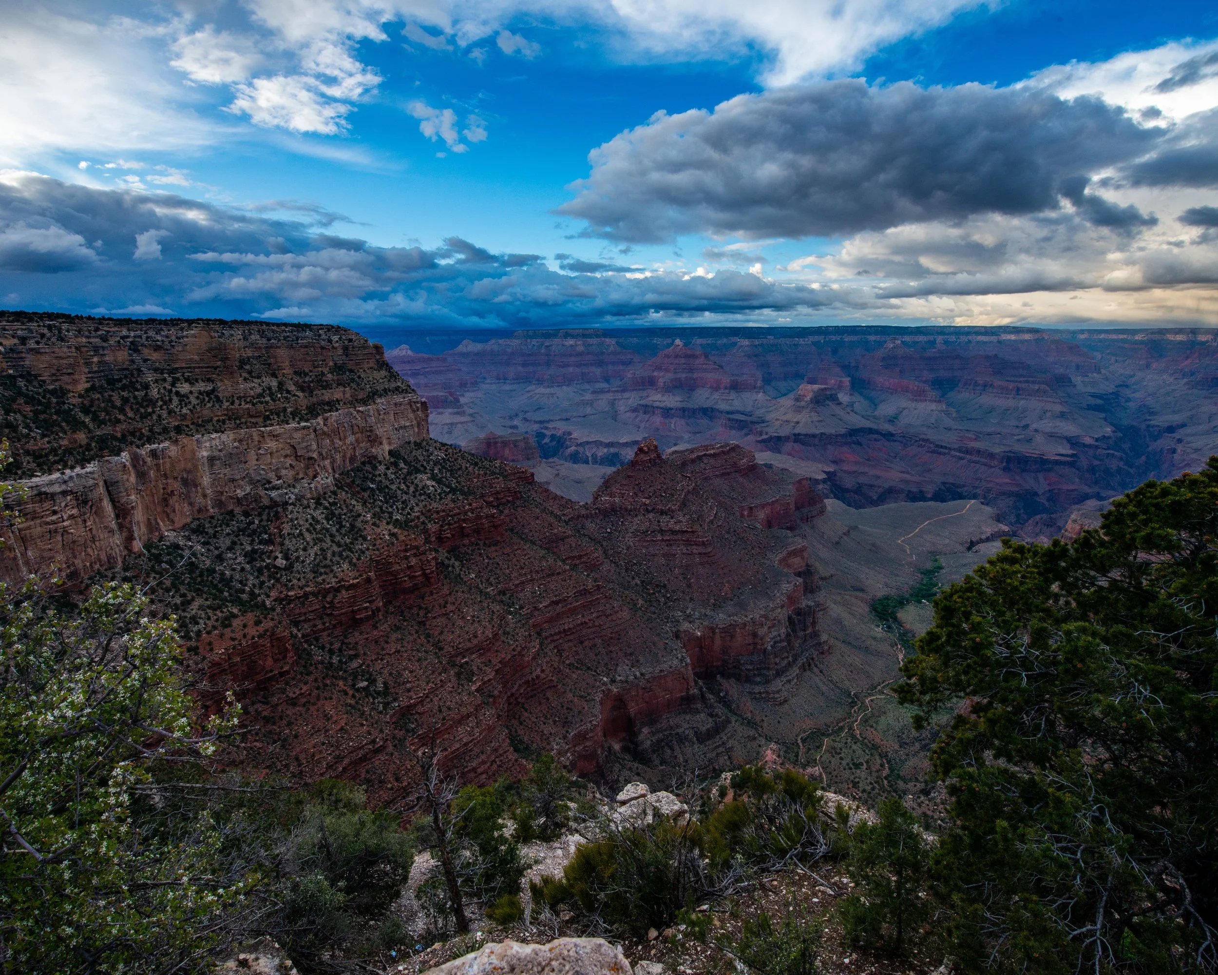 Rim Trail 5-6-25-85.jpg