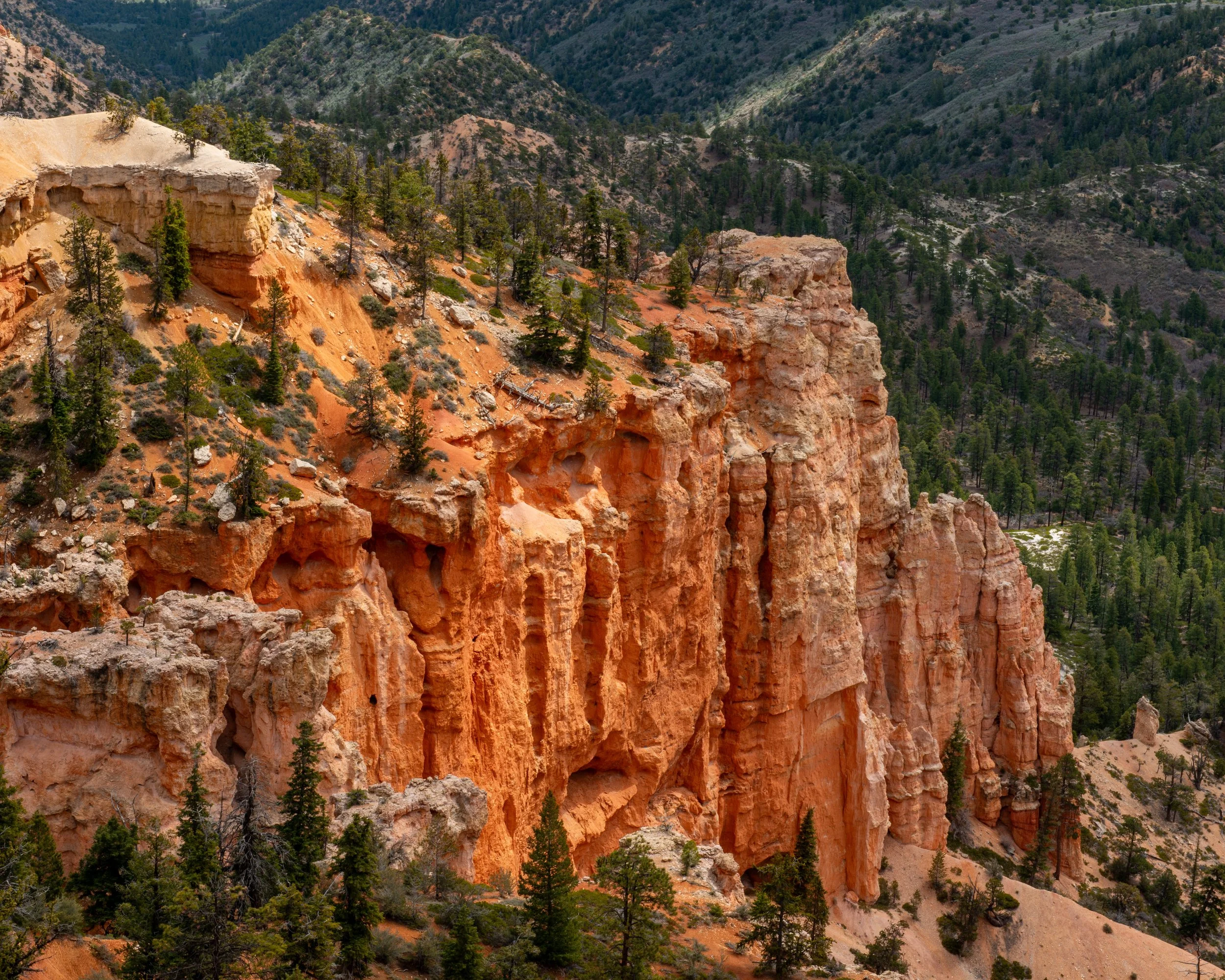 Bryce-221.jpg