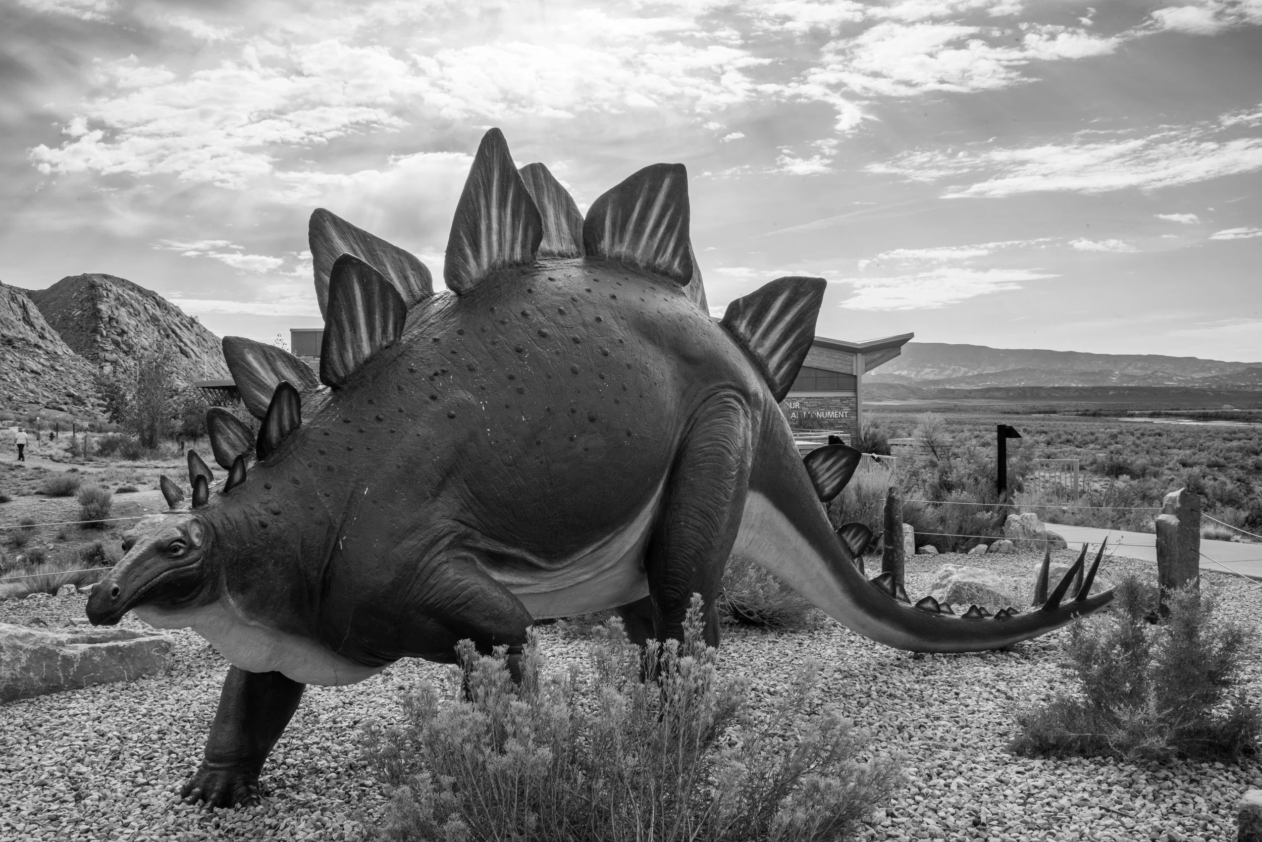 Dinosaur NM-35.jpg