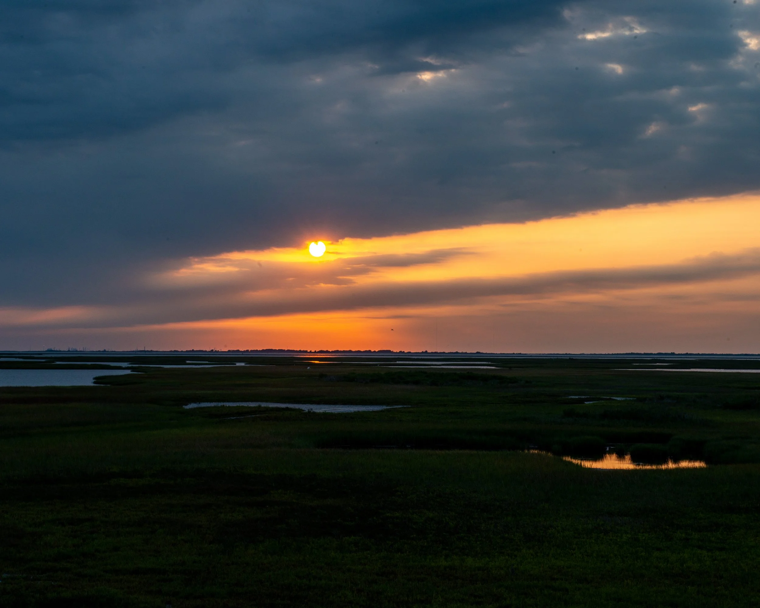 Galveston Island-335.jpg