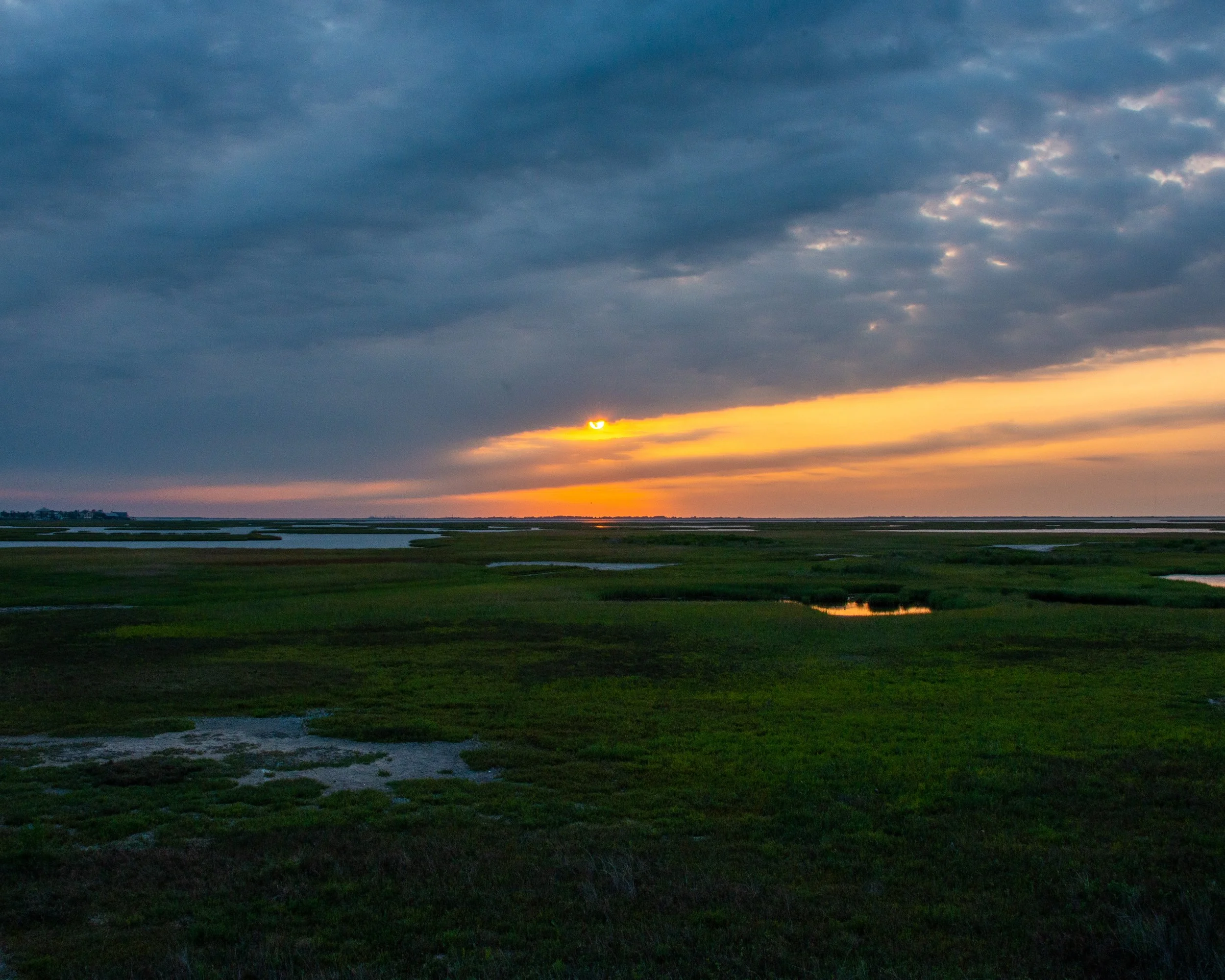Galveston Island-333.jpg
