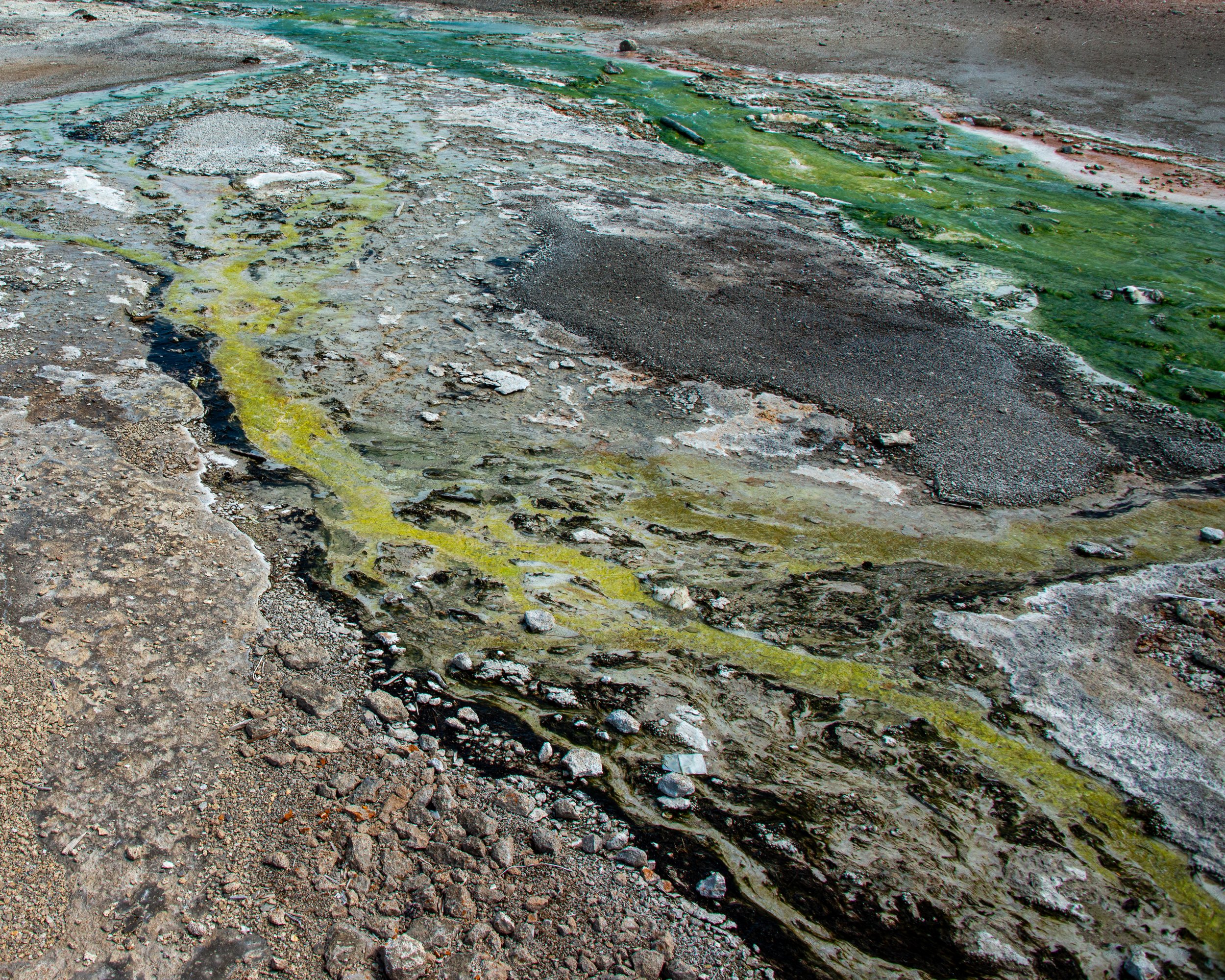 Yellowstone NP-457.jpg
