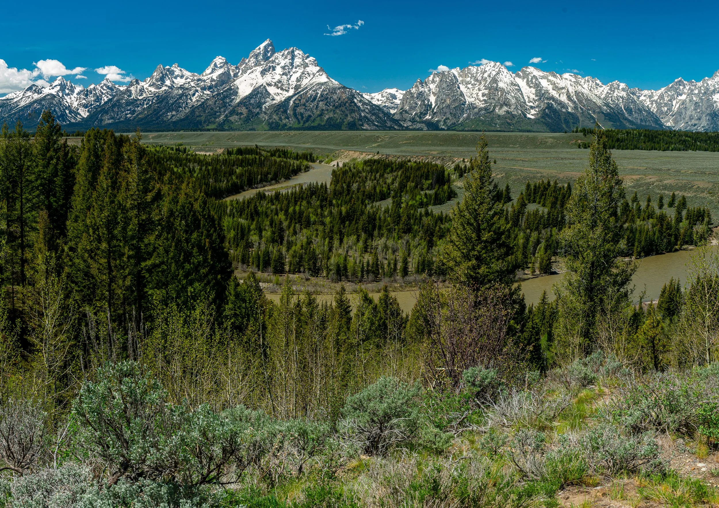 Grand Teton NP-454-Pano.jpg