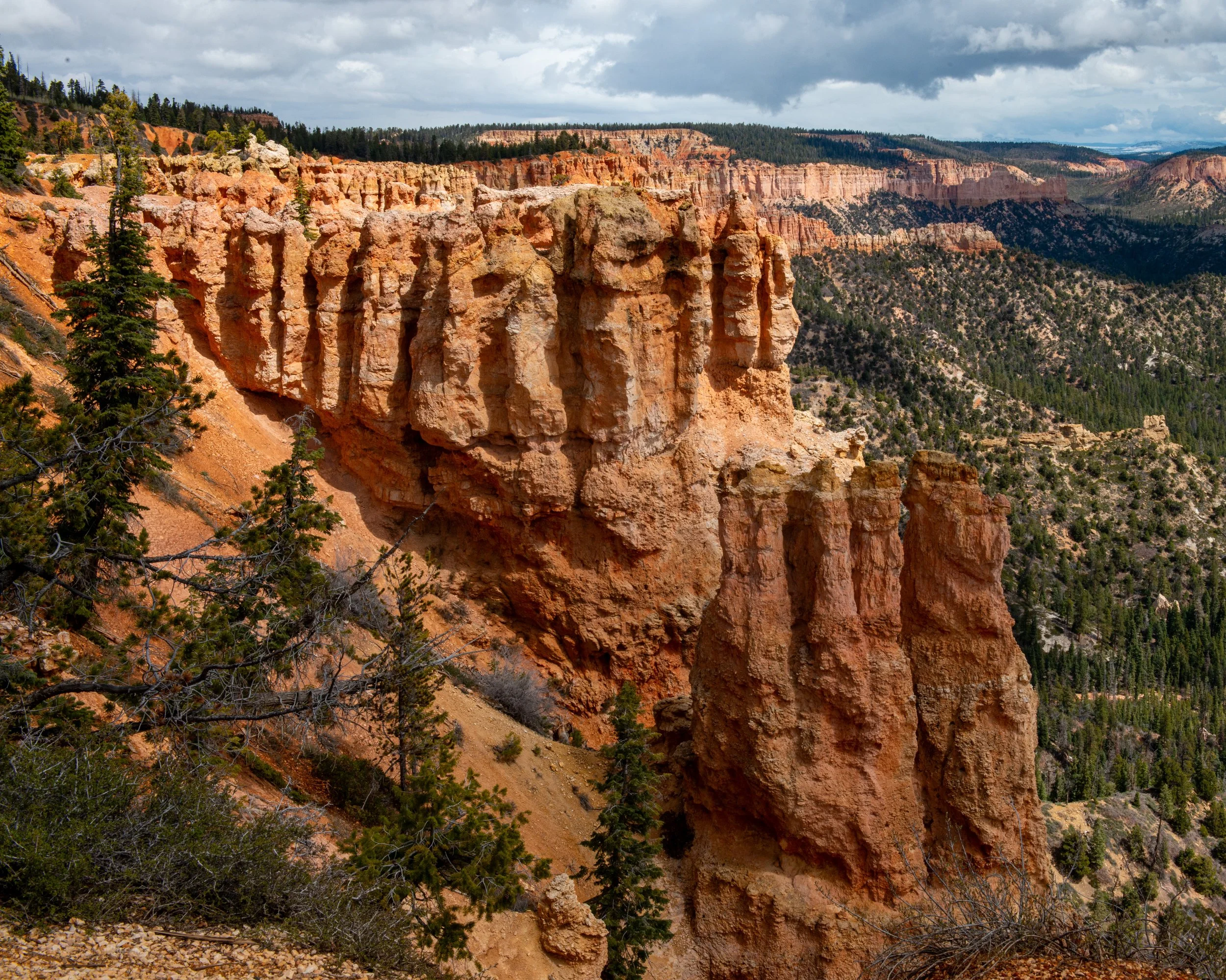 Bryce-146.jpg
