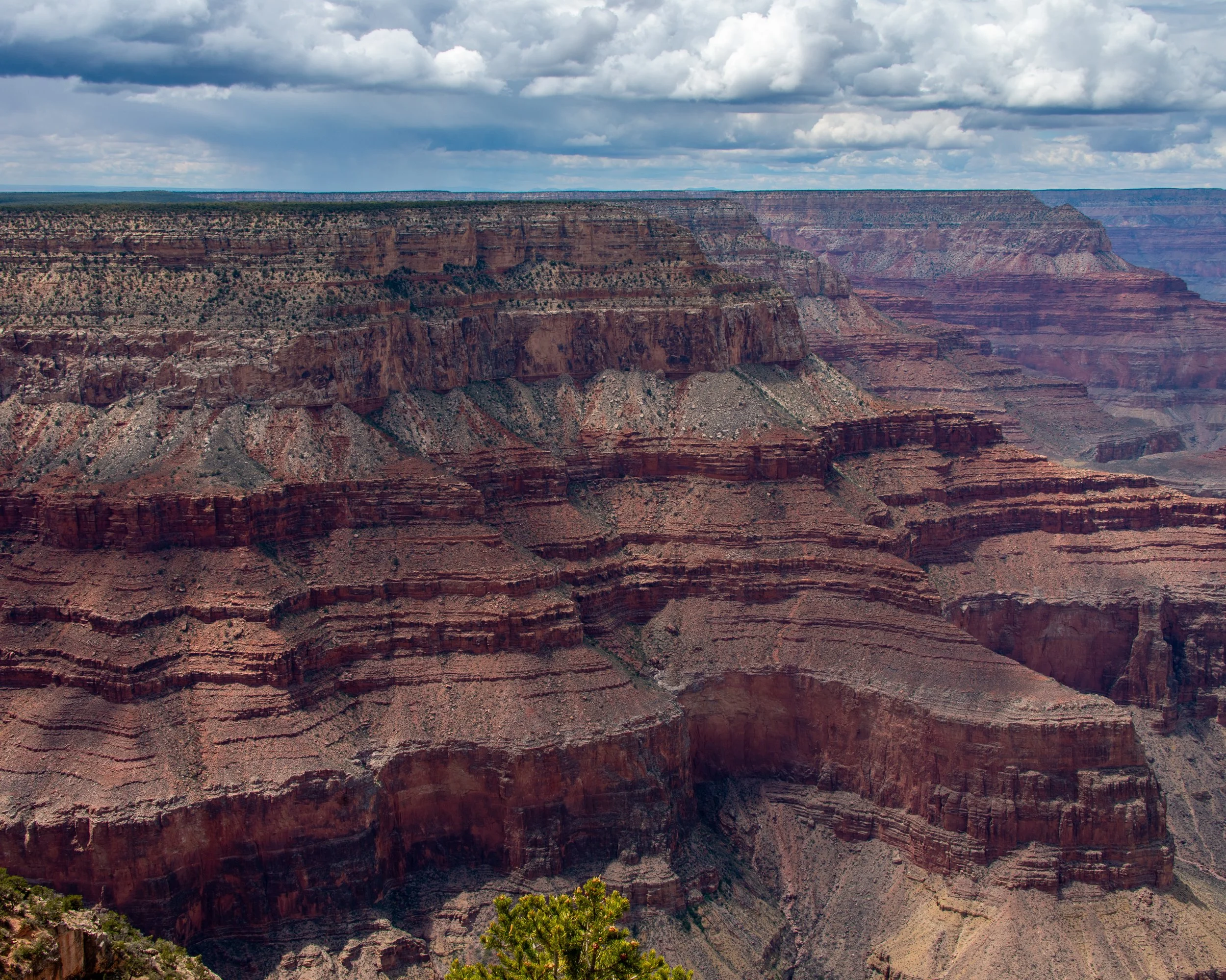 Pima Point-533 - Copy.jpg