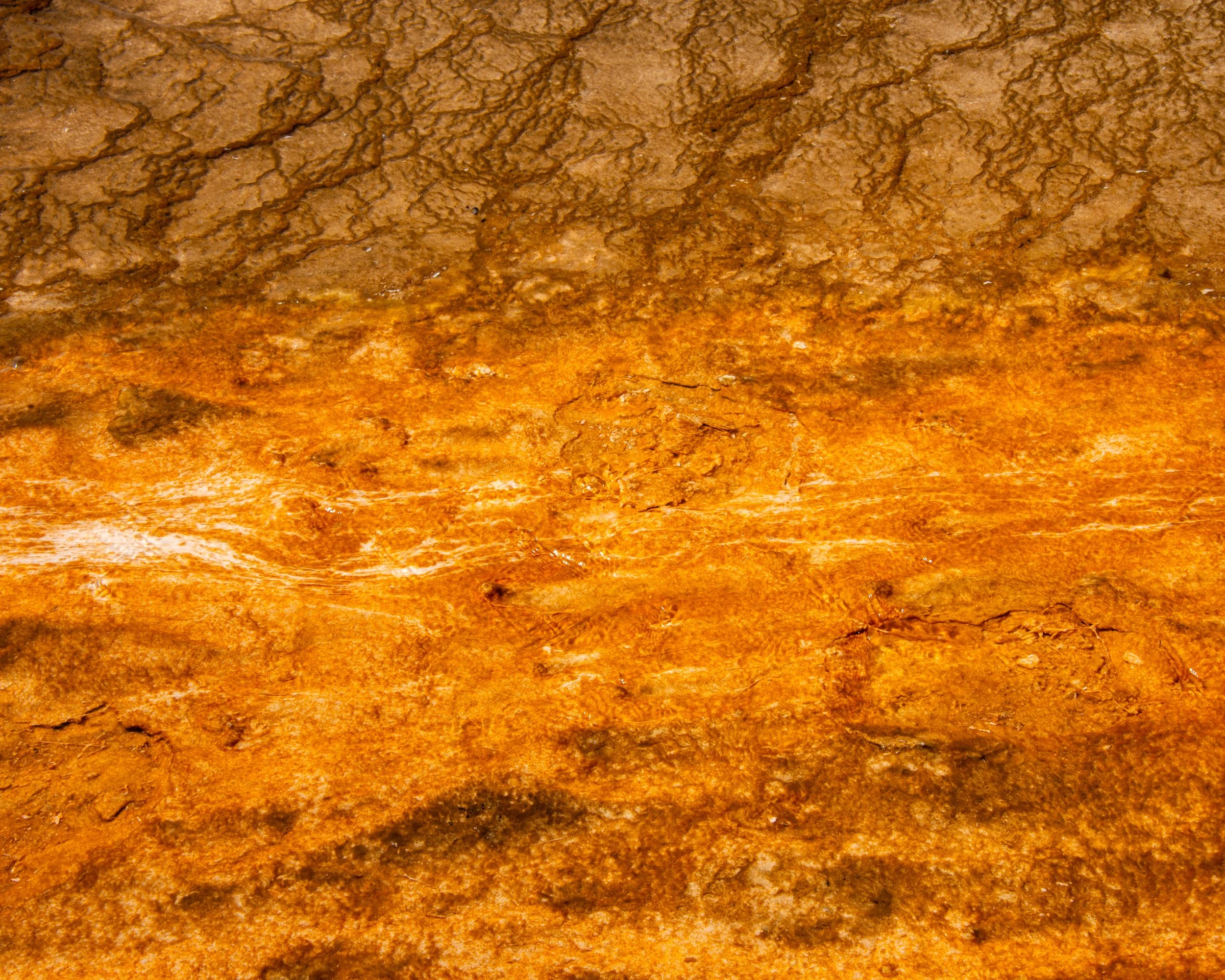 Yellowstone NP-1097.jpg