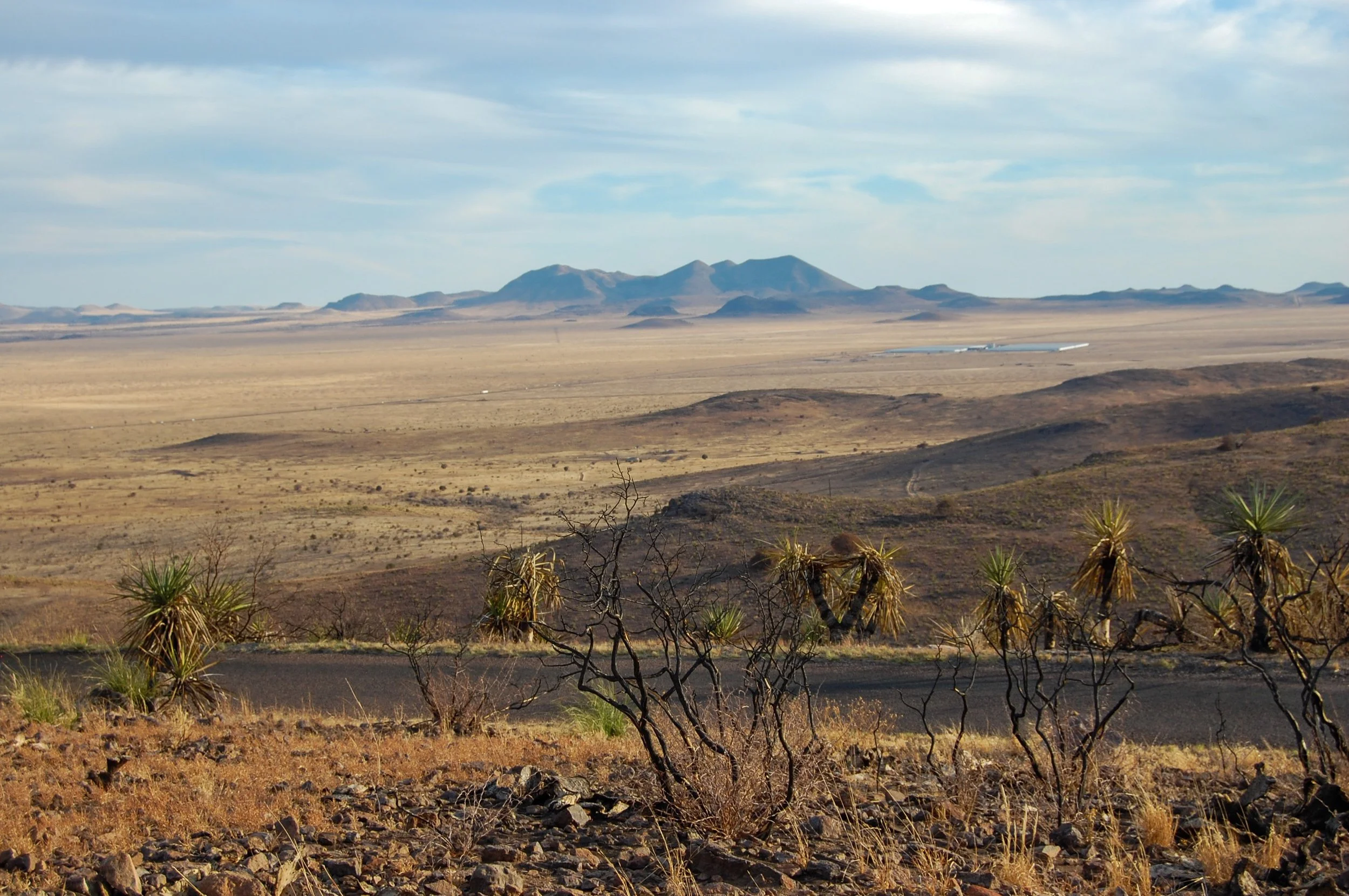 Big Bend-010.jpg