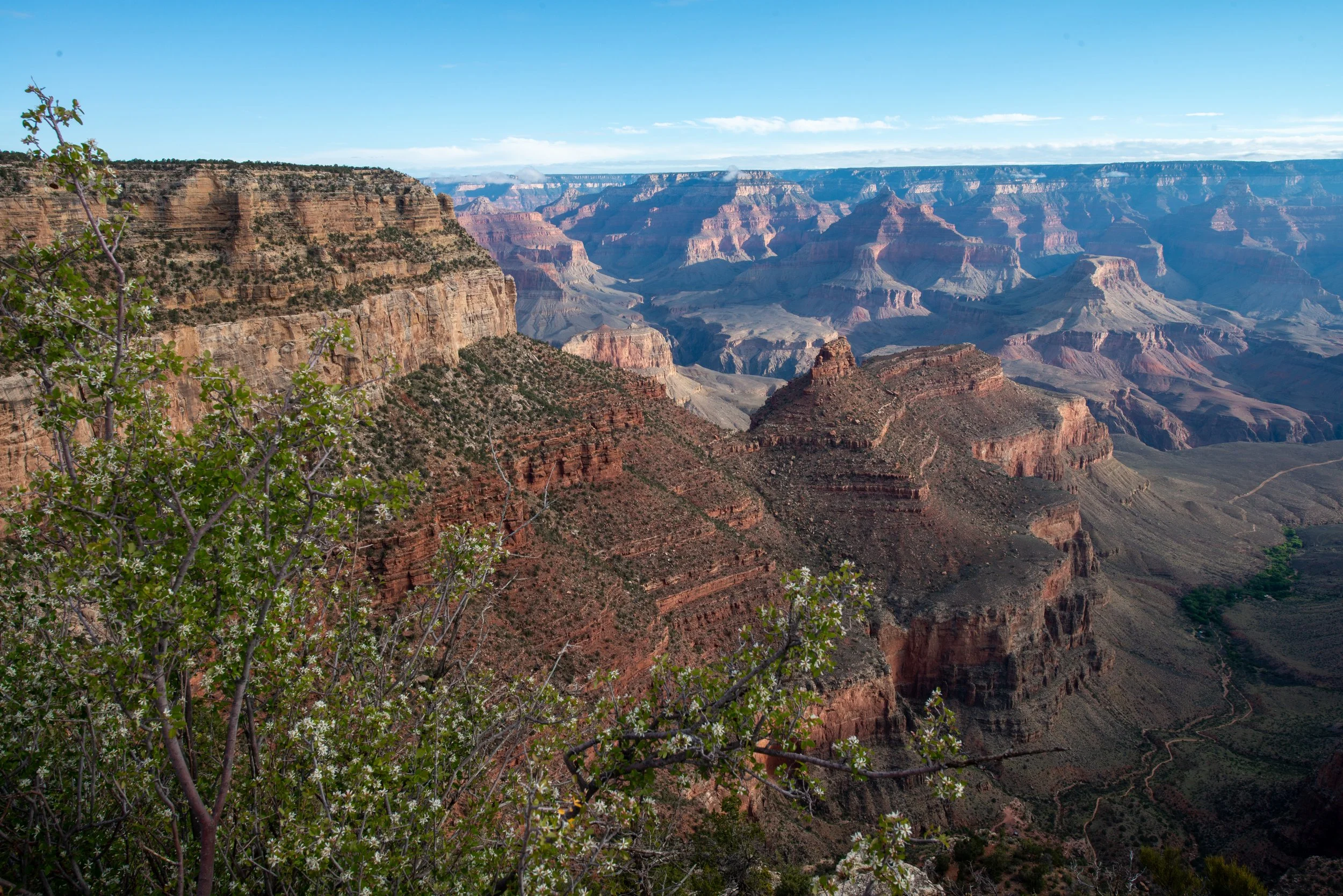 Rim Trail 5-7-25-188.jpg