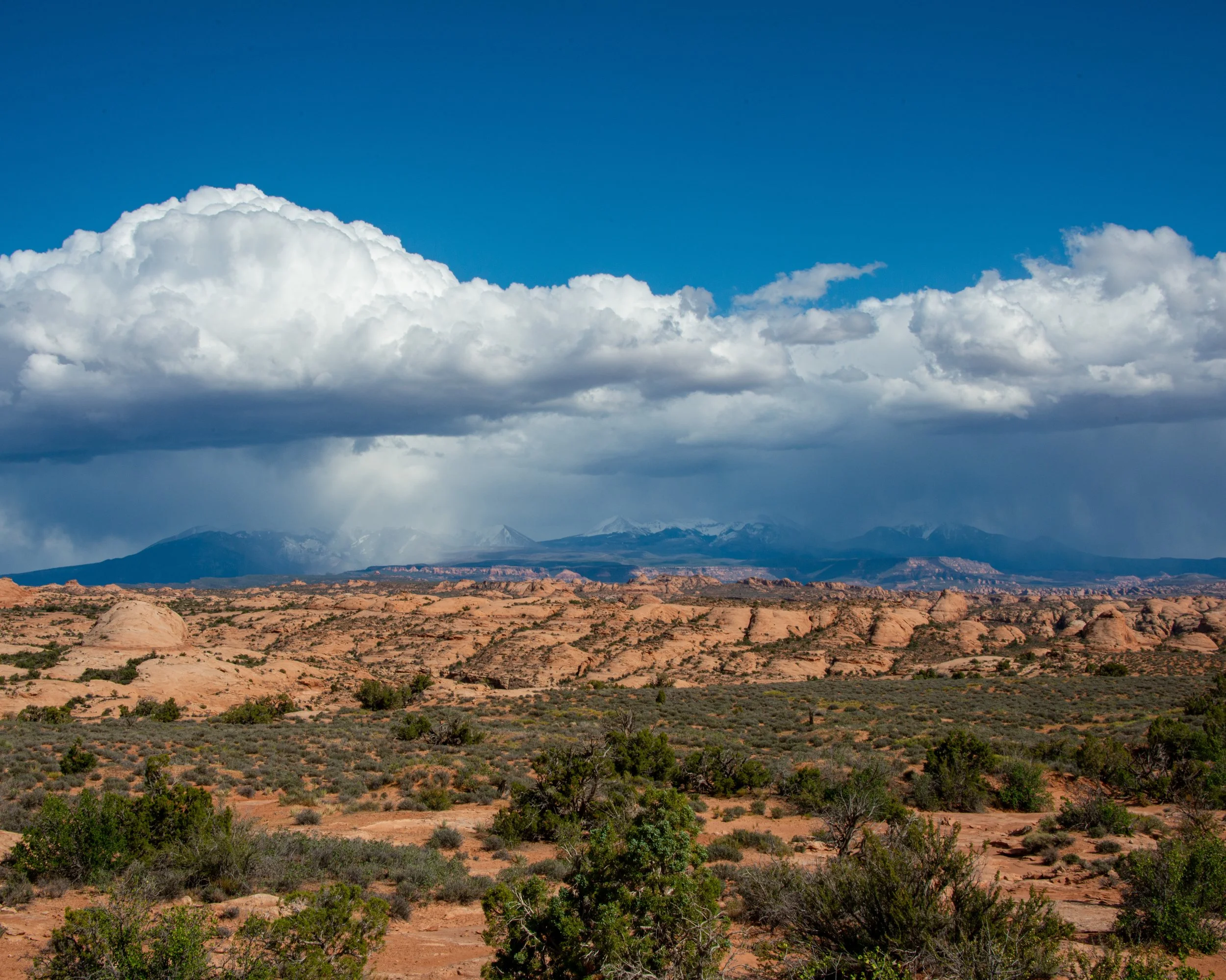 Arches-14.jpg