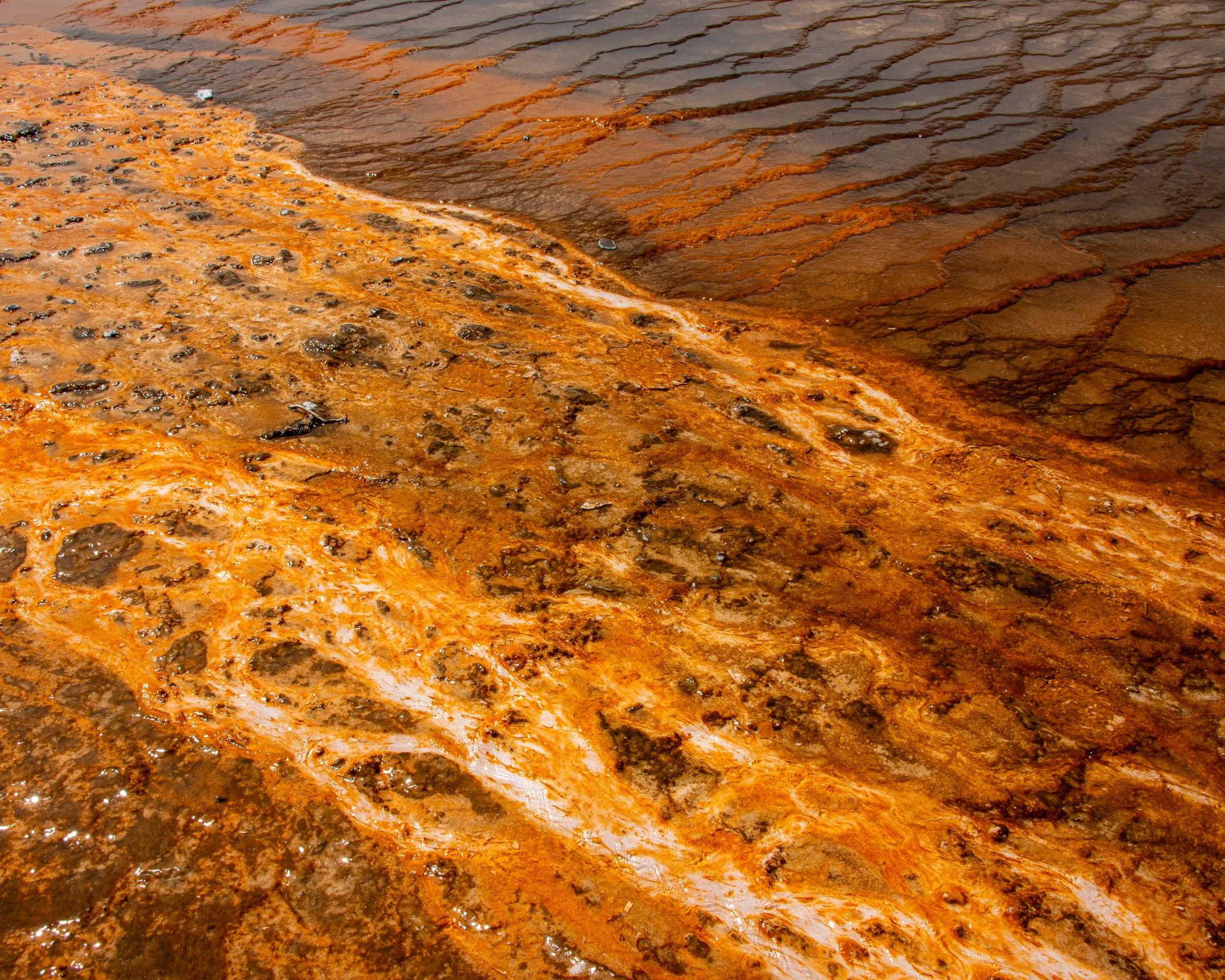 Yellowstone NP-1099.jpg