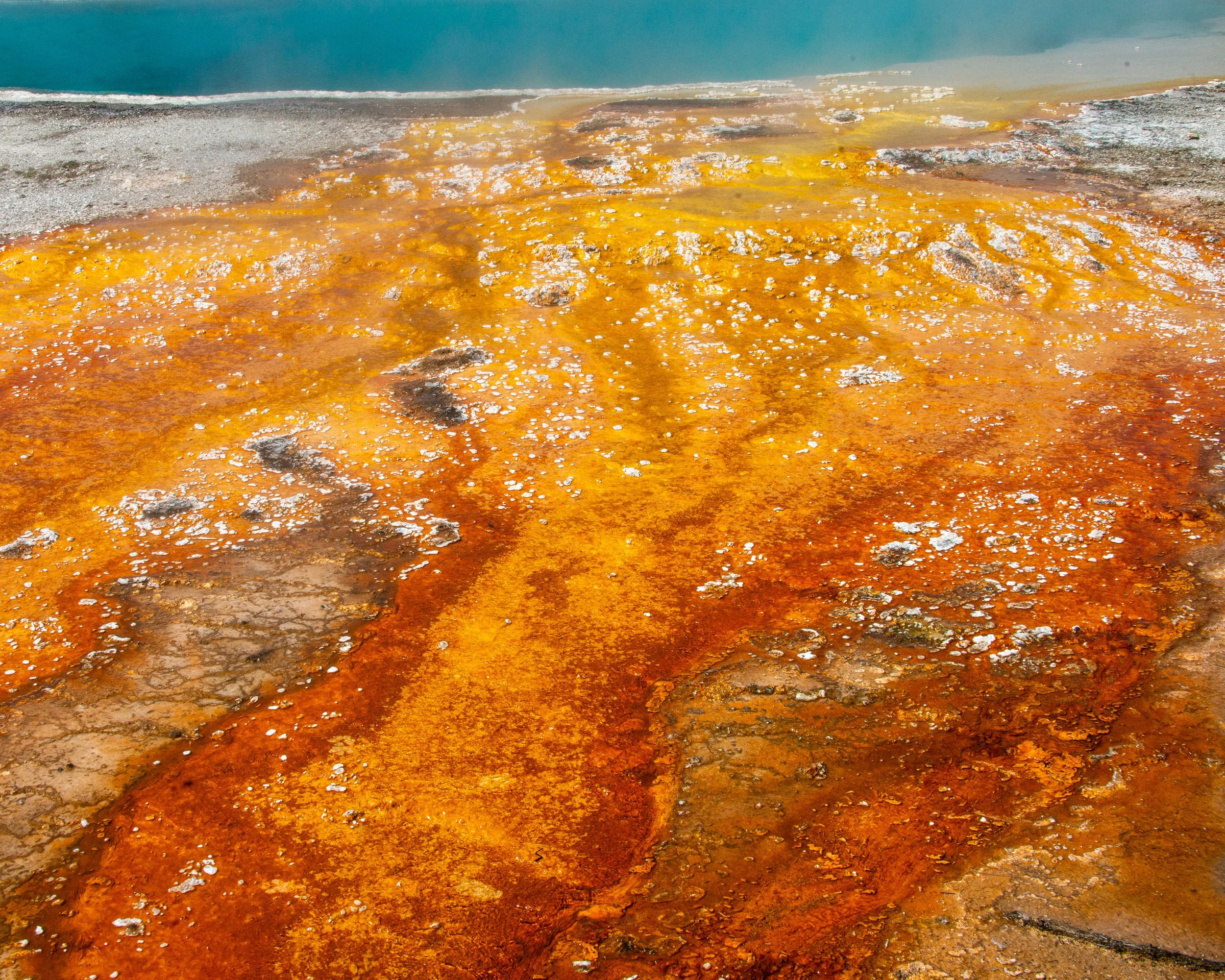 Yellowstone NP-169.jpg