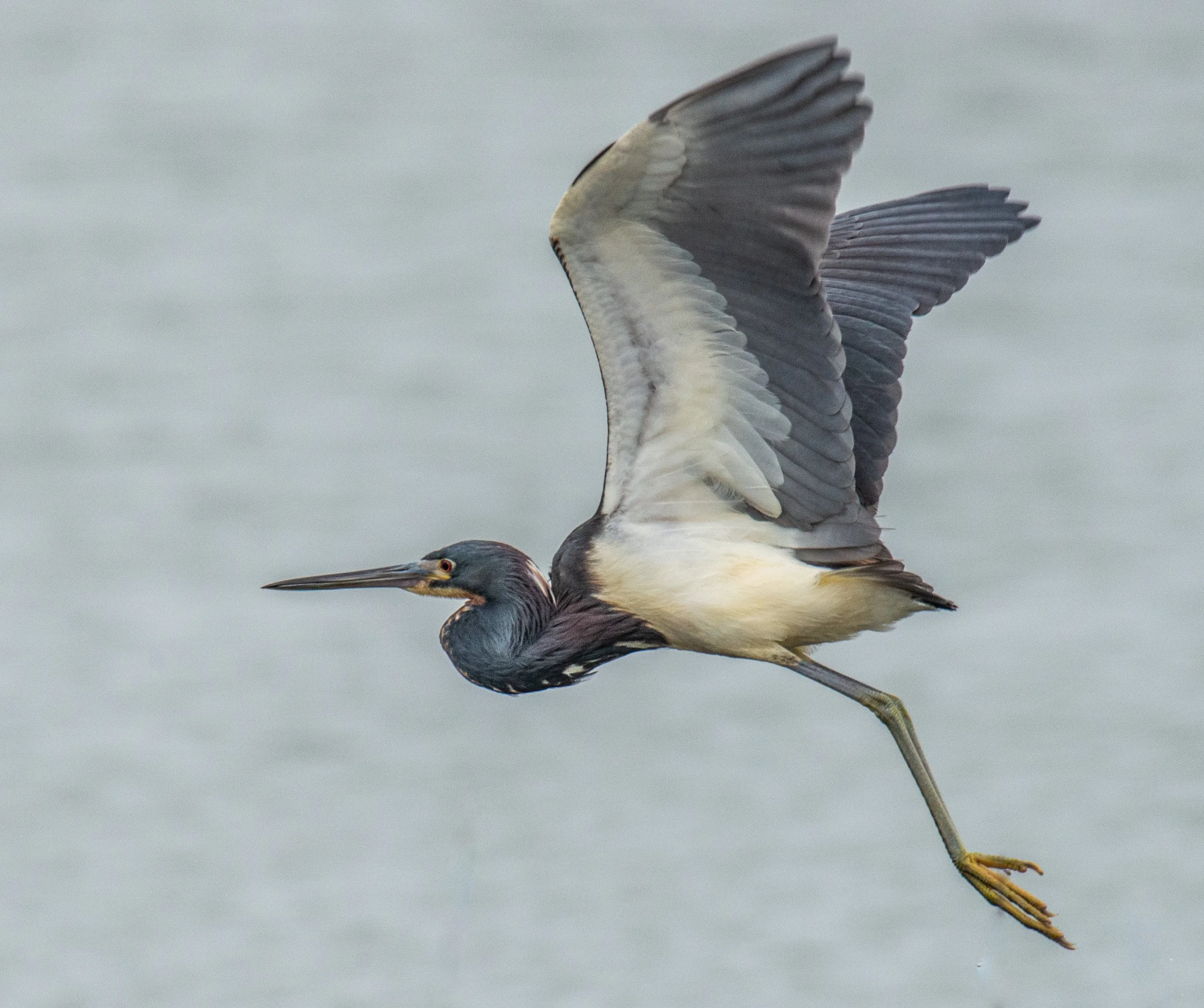Mustang Island SP-422.jpg