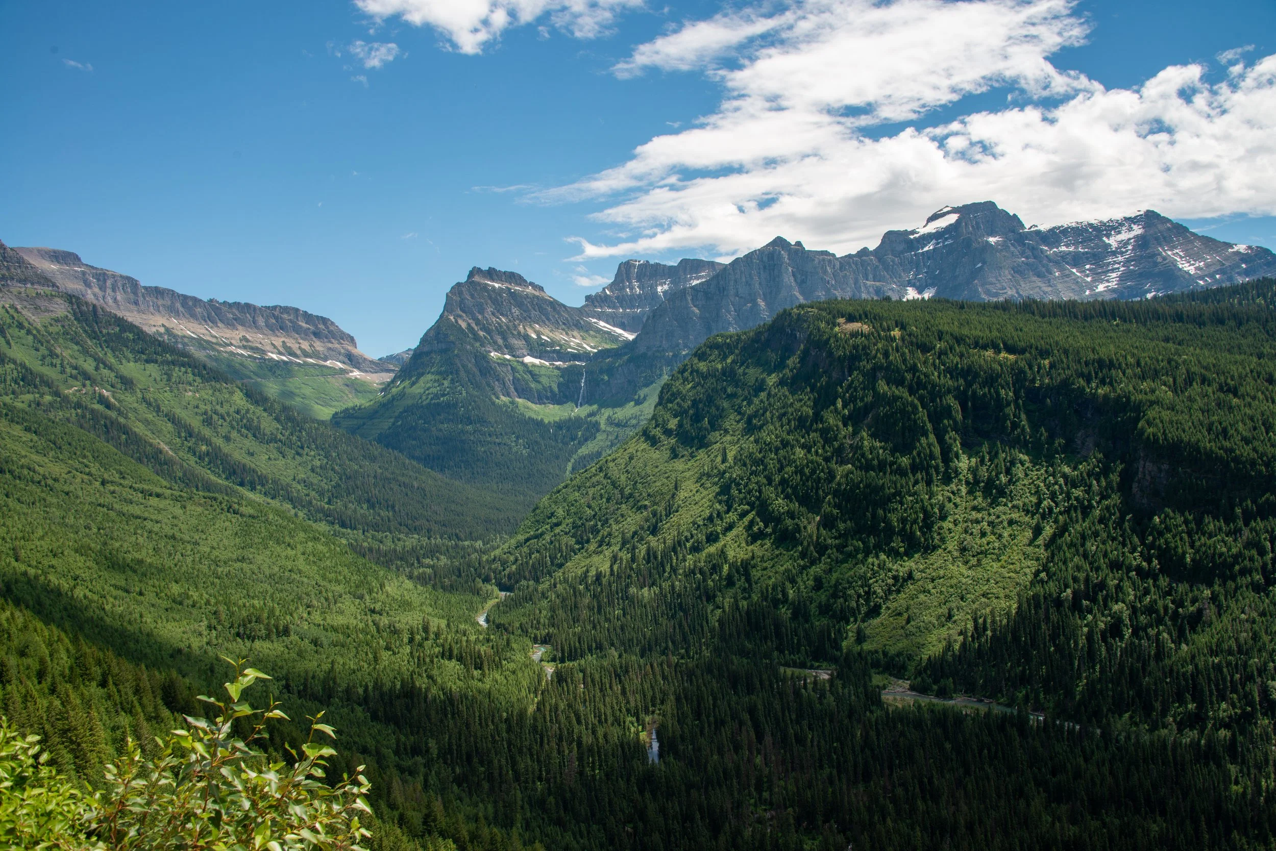 Glacier NP-525.jpg