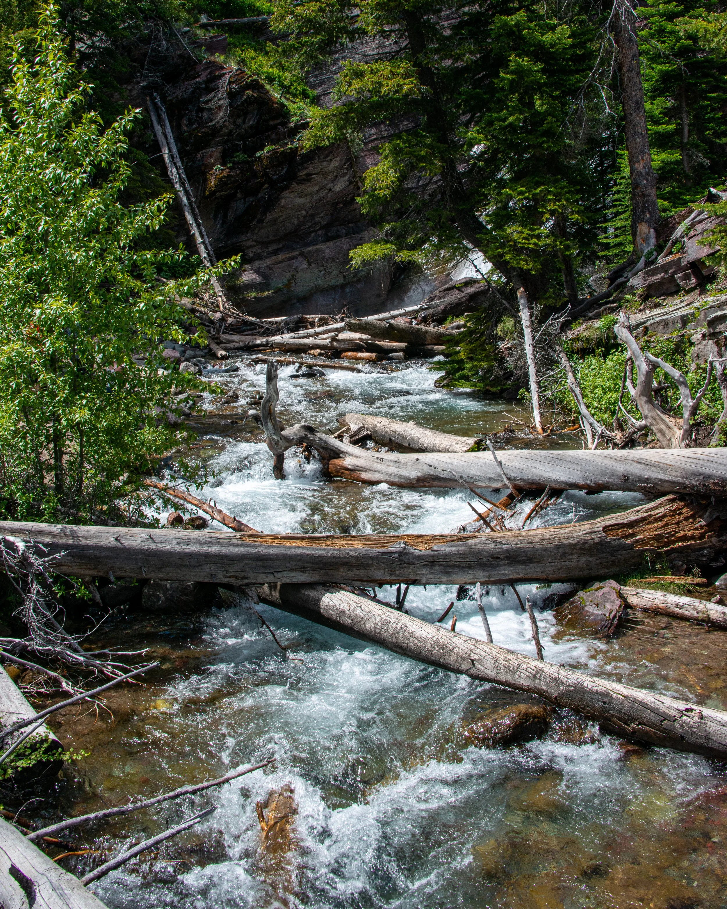 Glacier NP-77.jpg