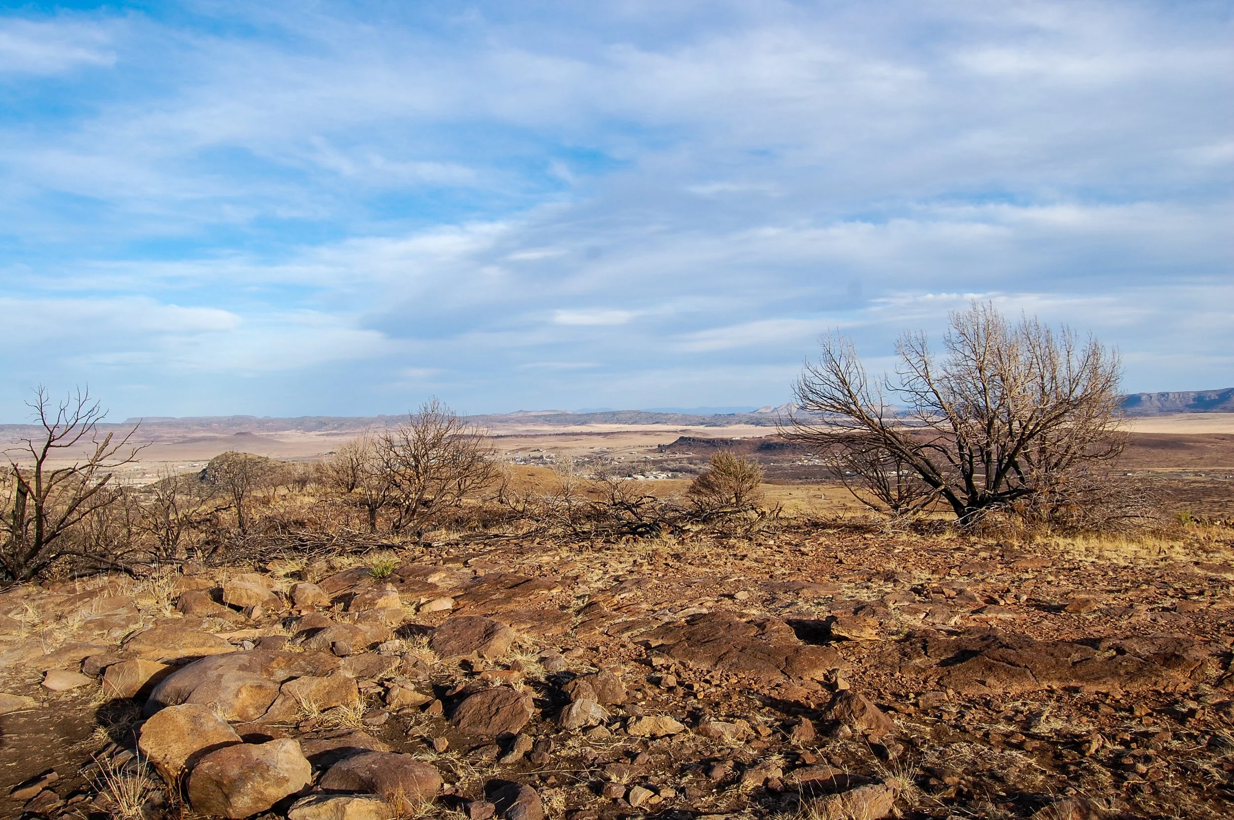 Big Bend-009.jpg