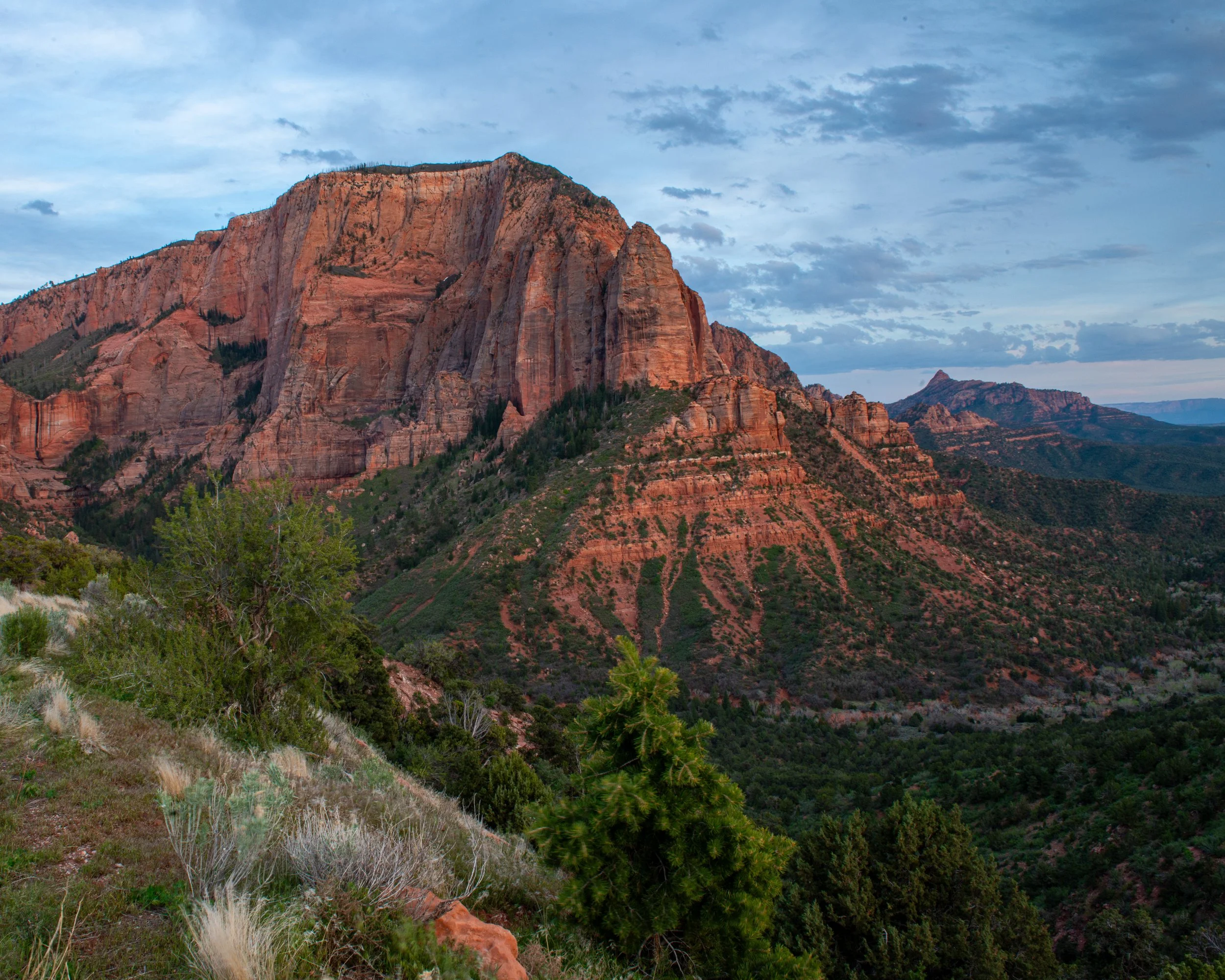 Zion-350.jpg