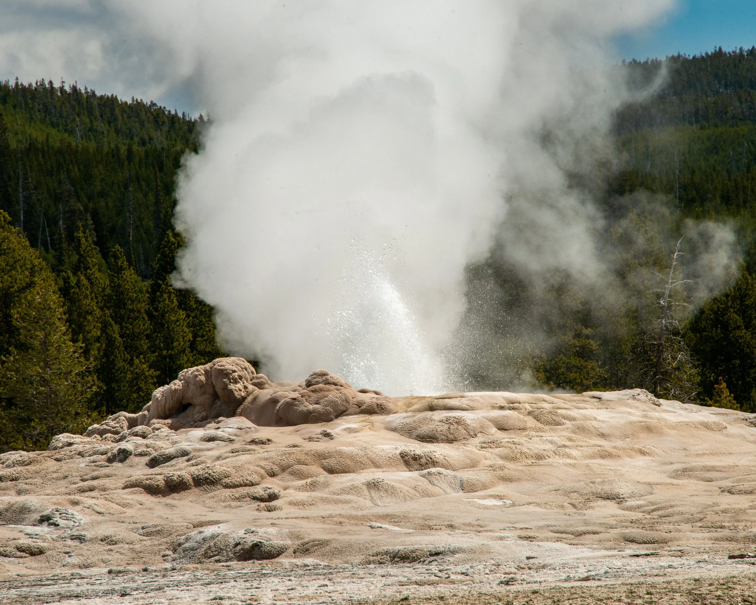 Yellowstone NP-197.jpg