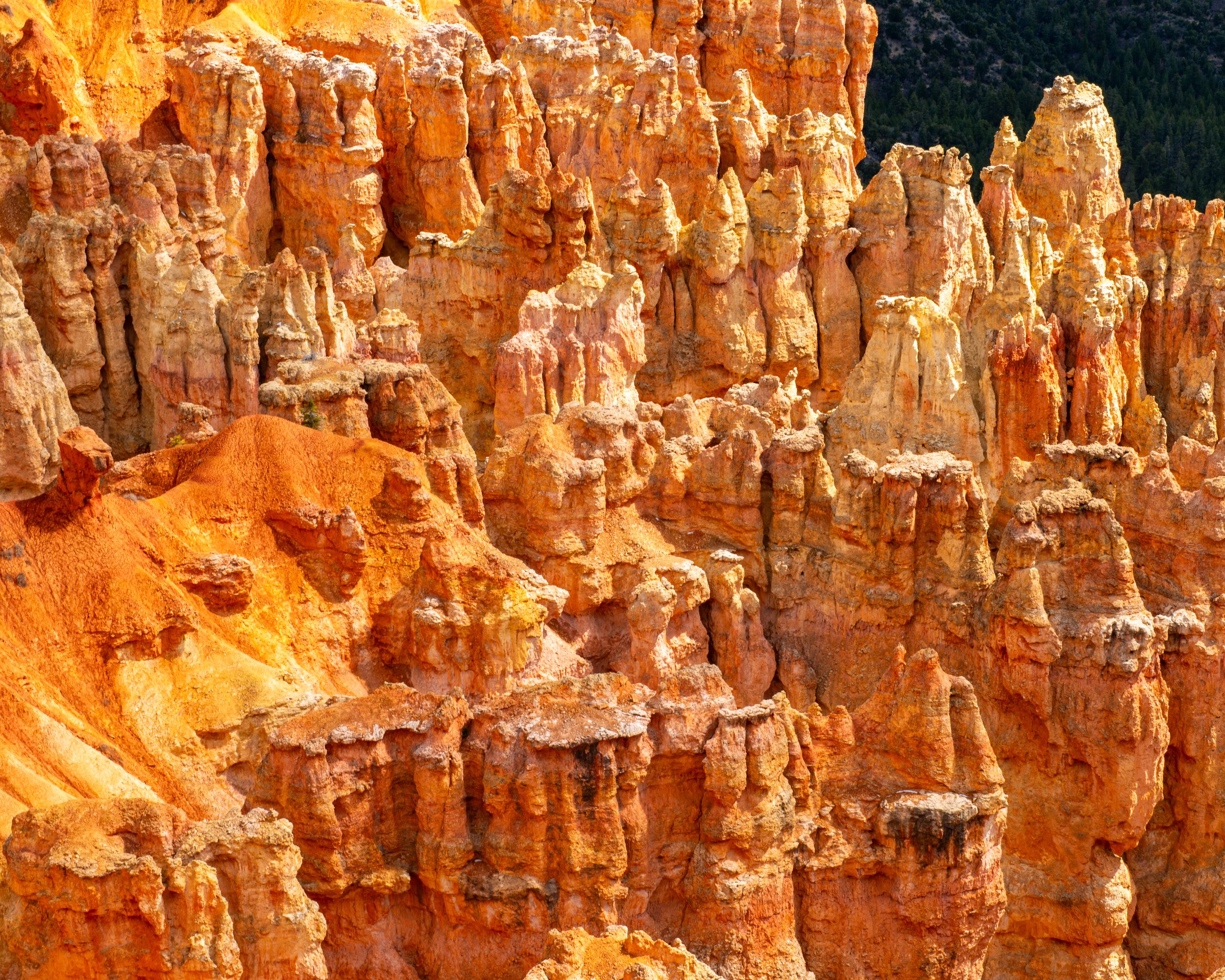 Bryce-157.jpg