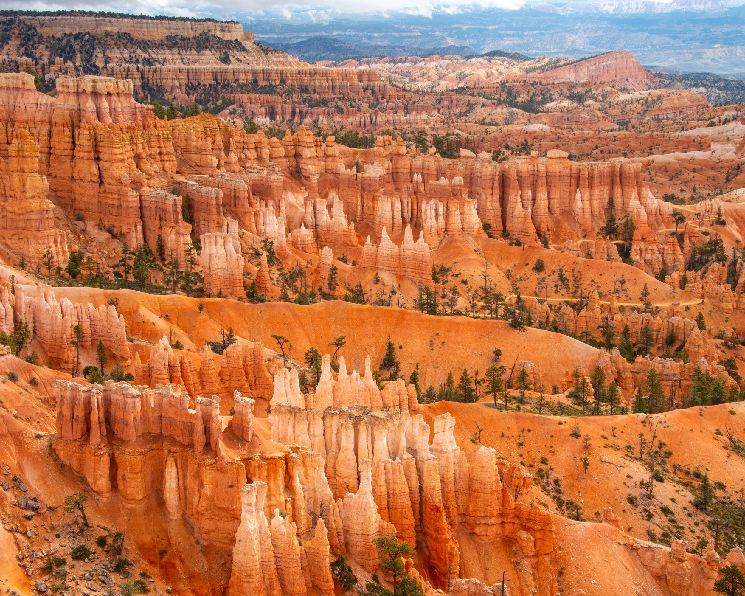Bryce-20.jpg