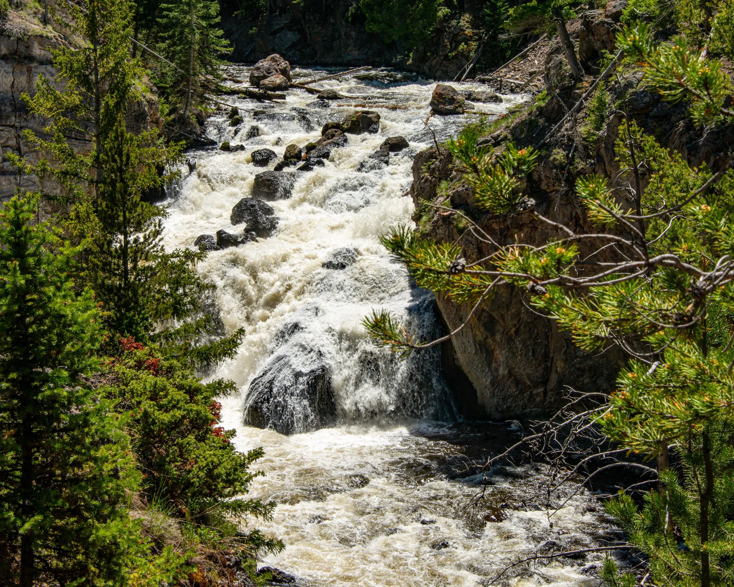 Yellowstone NP-1143.jpg