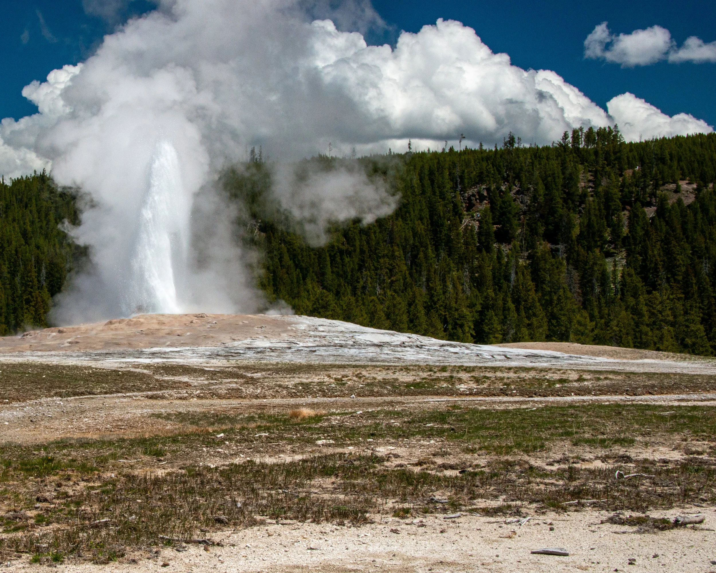 Yellowstone NP-624.jpg